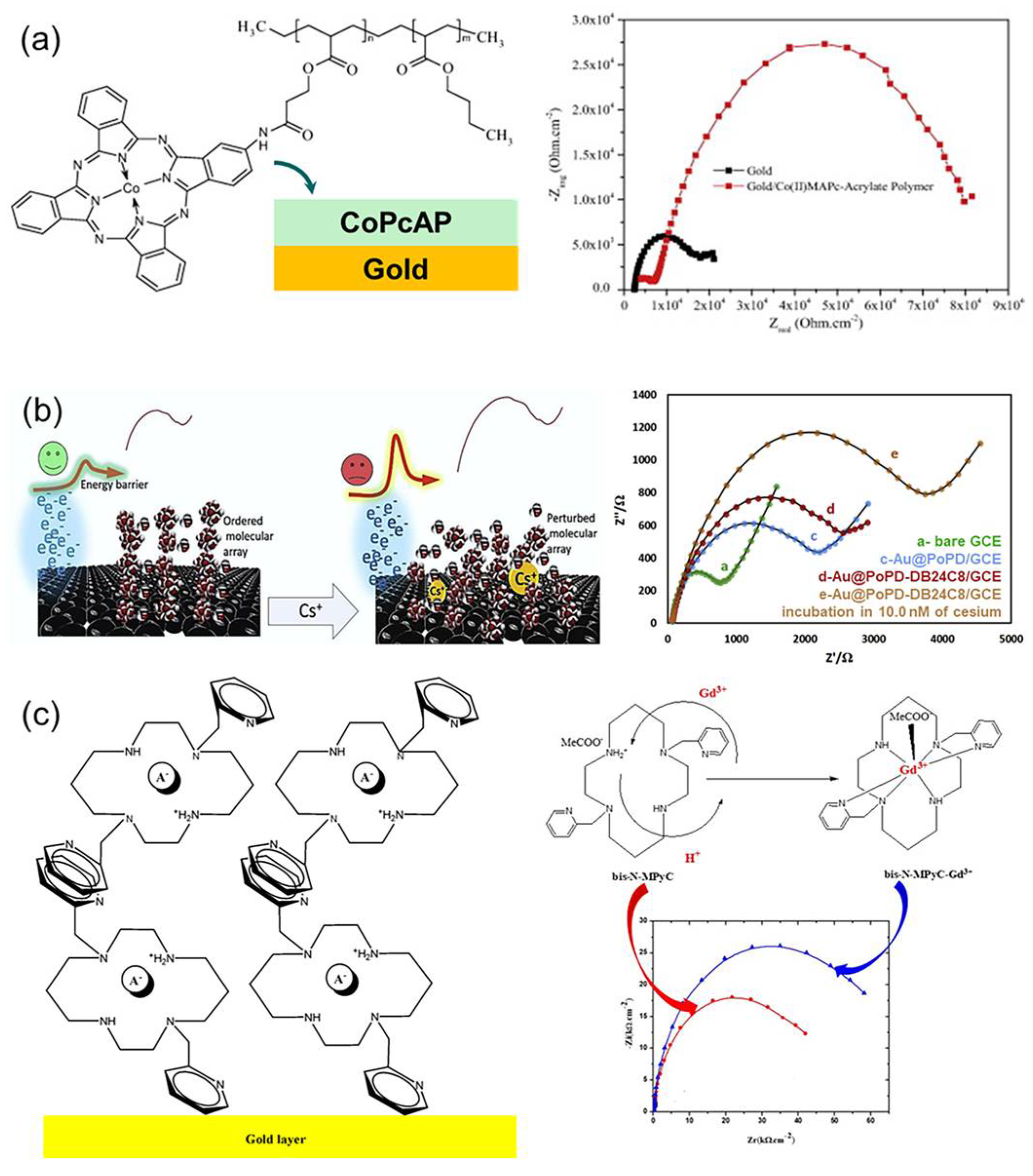Chemosensors 13 00422 g010 Chemosensors 13 00422 g010