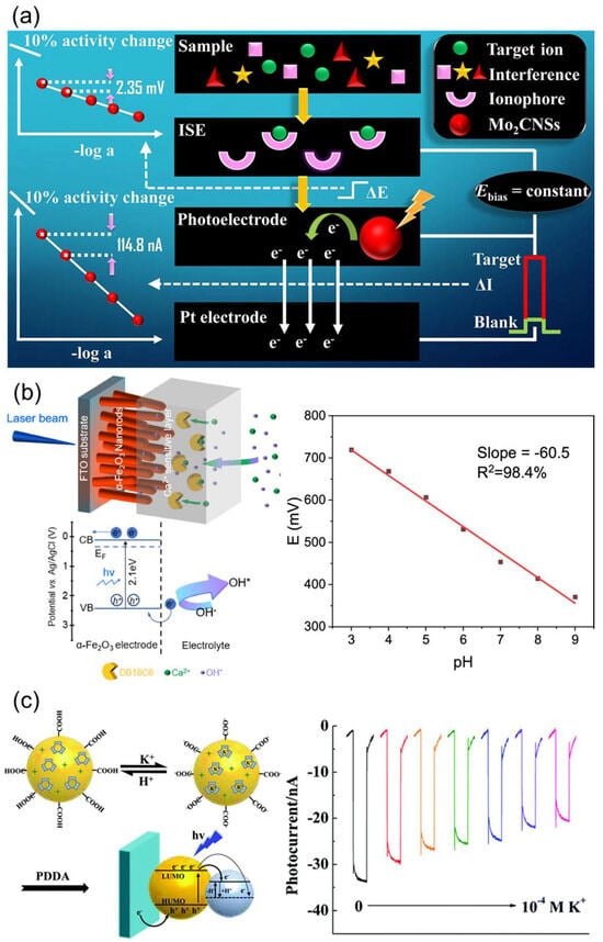 Chemosensors 13 00422 g011