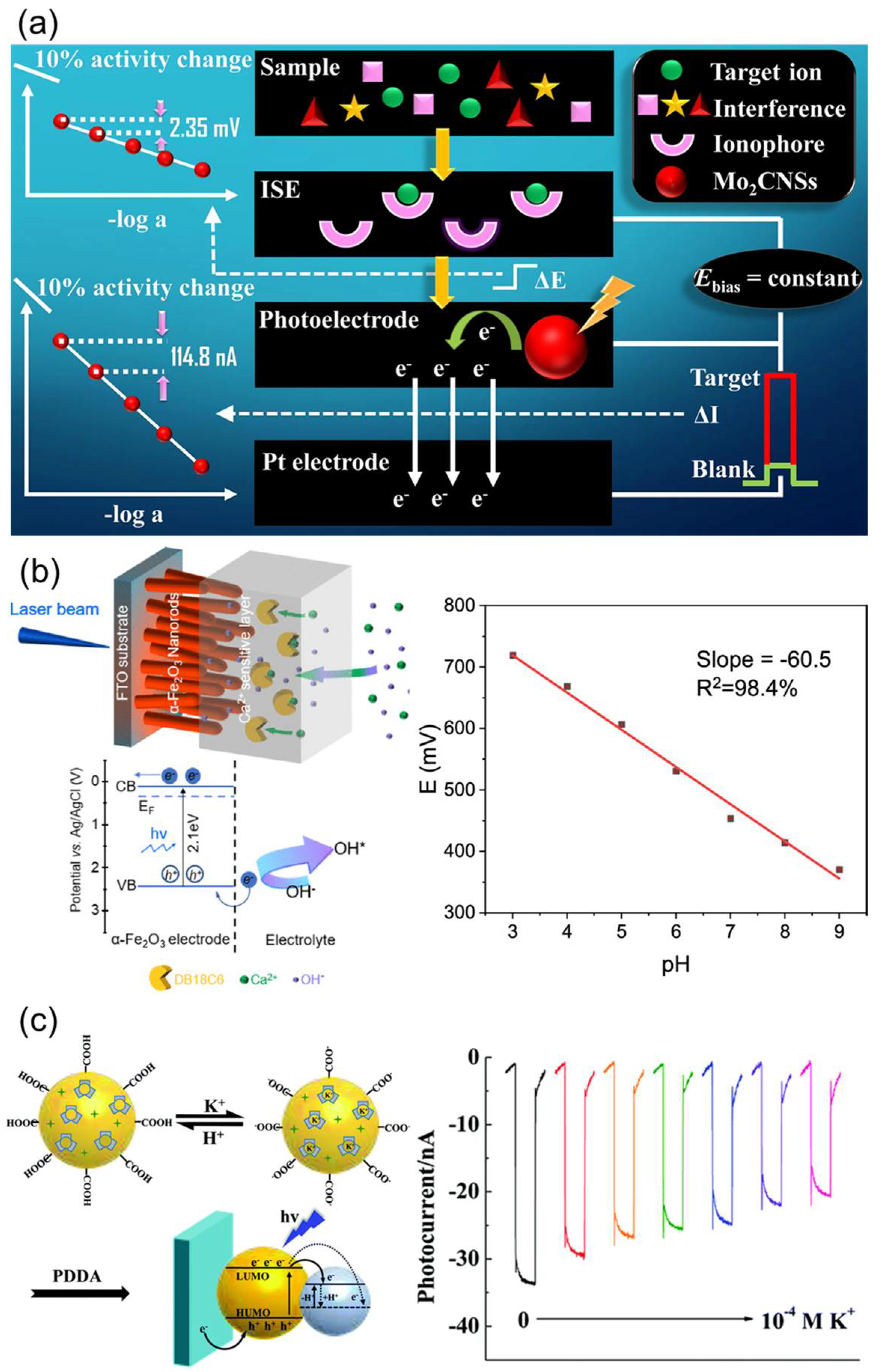 Chemosensors 13 00422 g011 Chemosensors 13 00422 g011