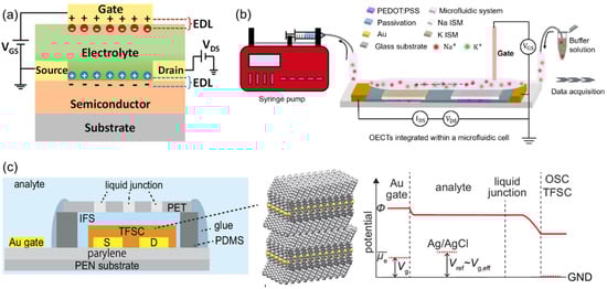 Chemosensors 13 00422 g012