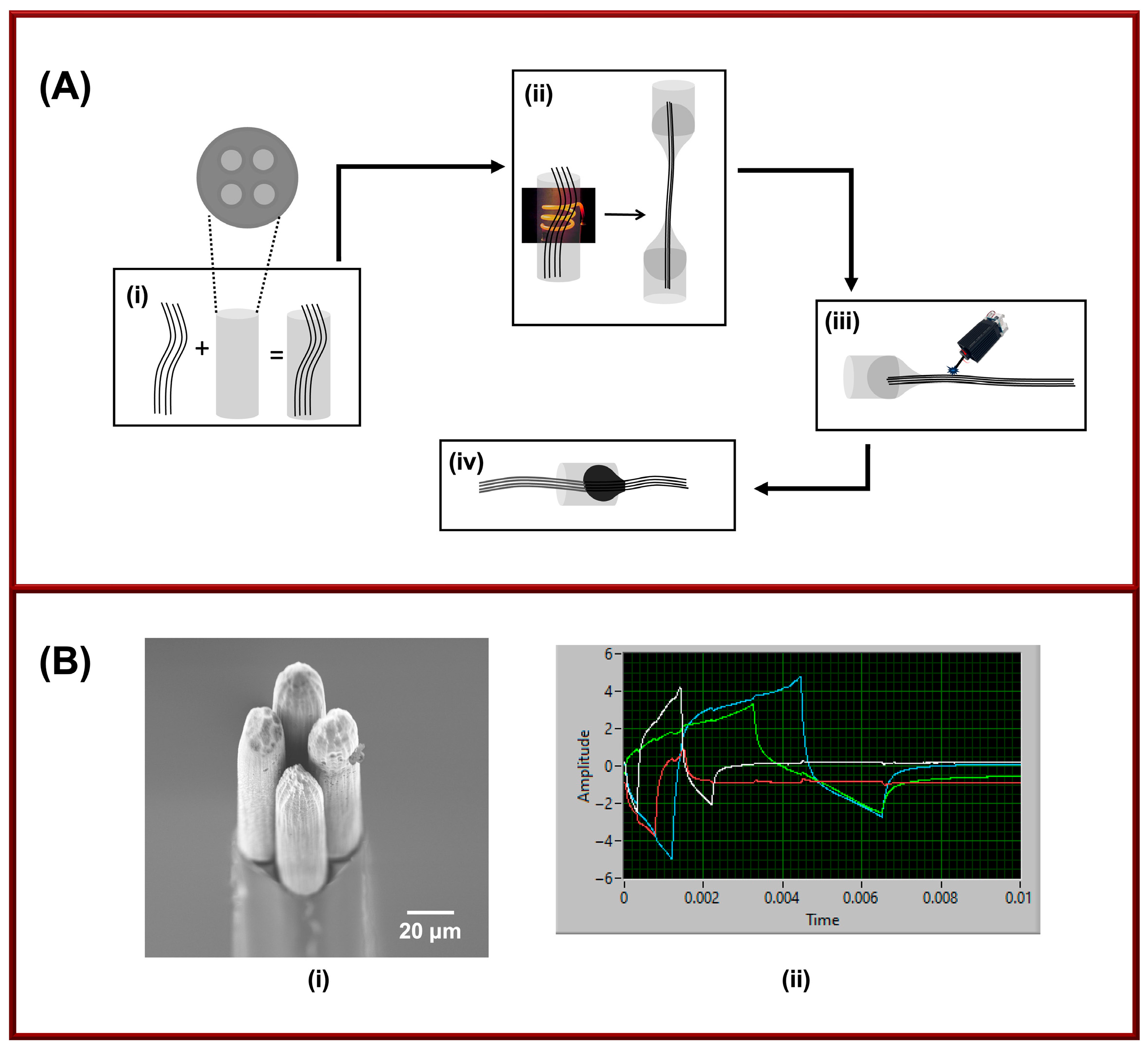 Chemosensors 13 00423 g001