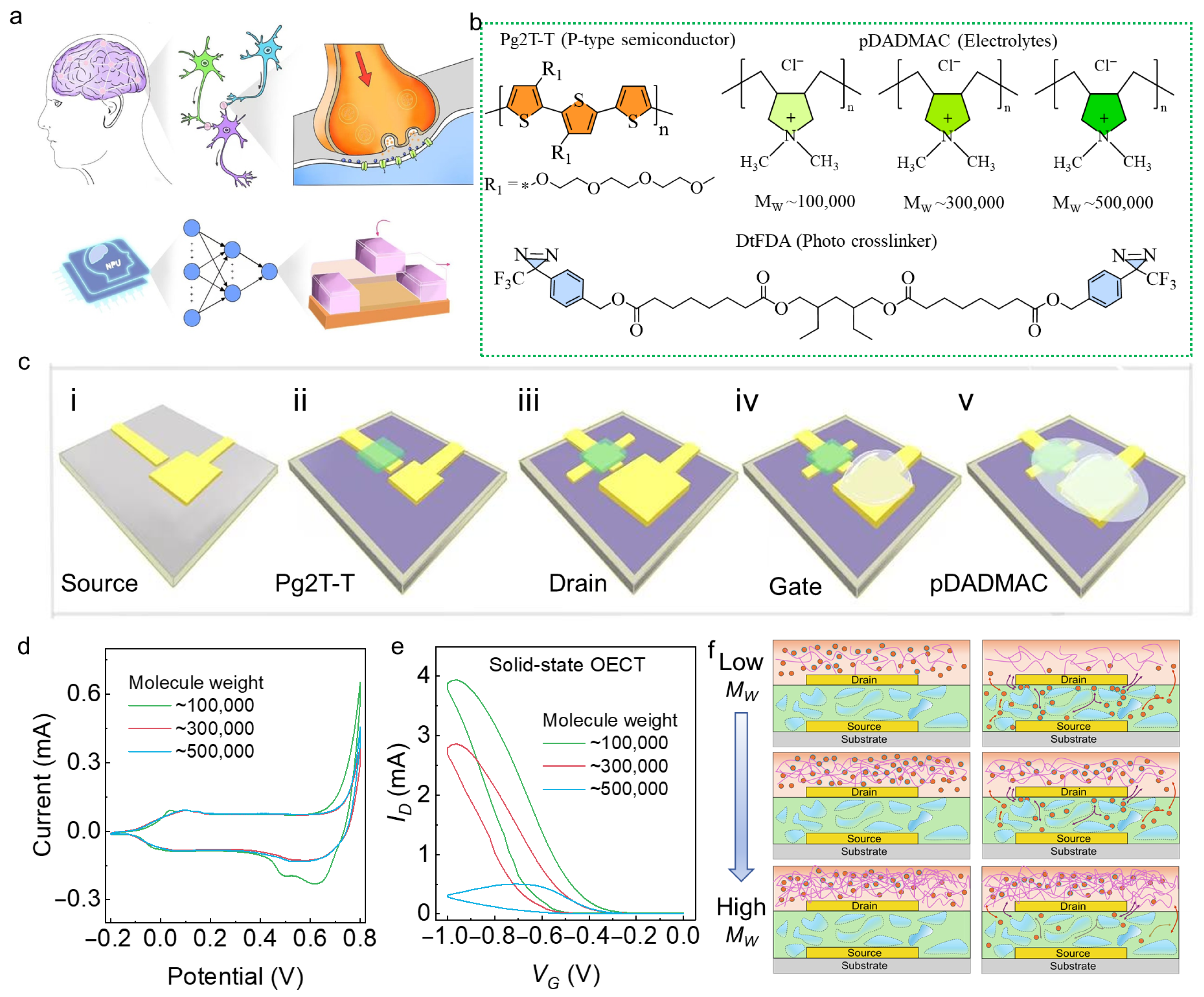 Chemosensors 13 00428 g001