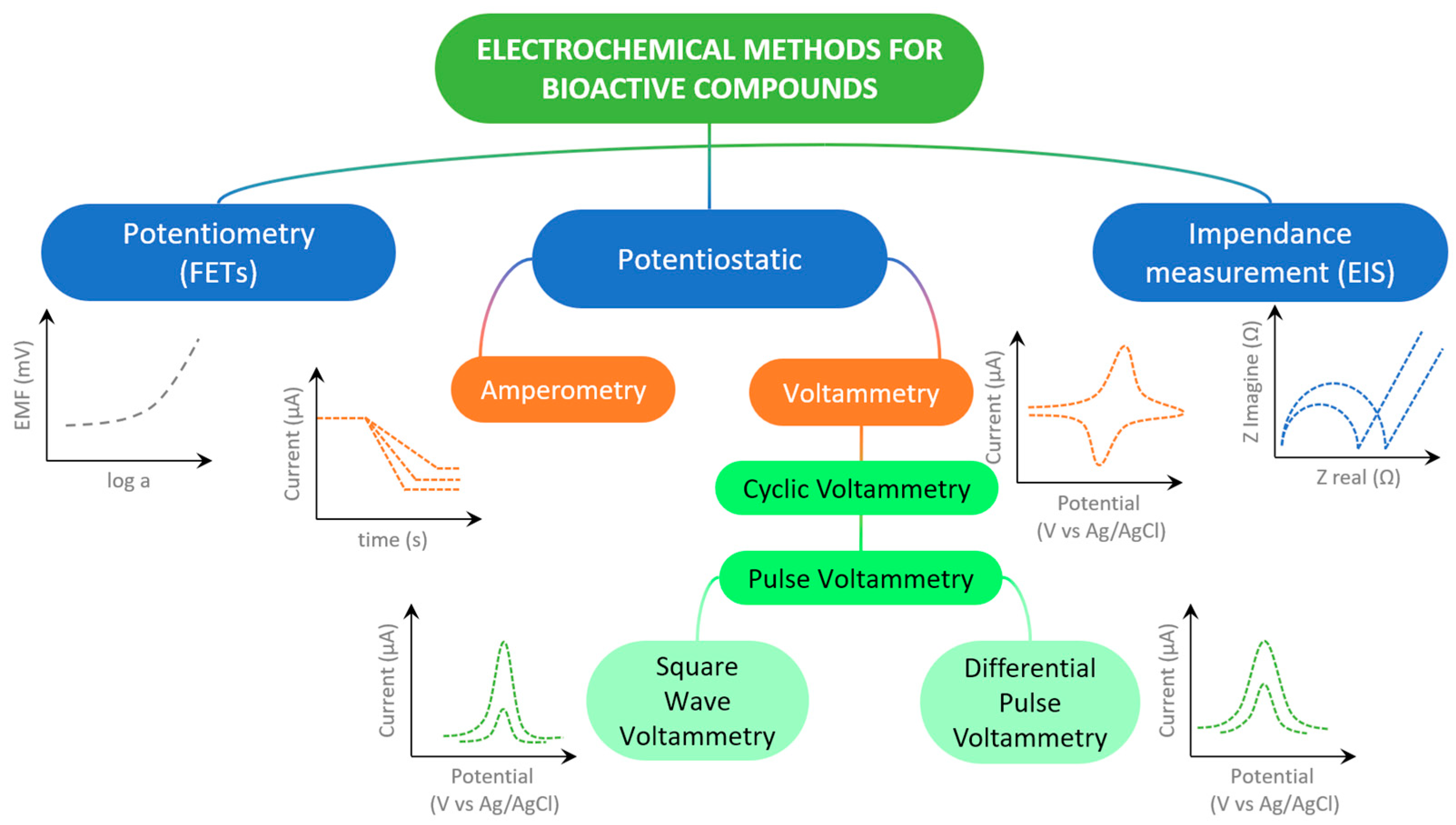 Chemosensors 13 00429 g001