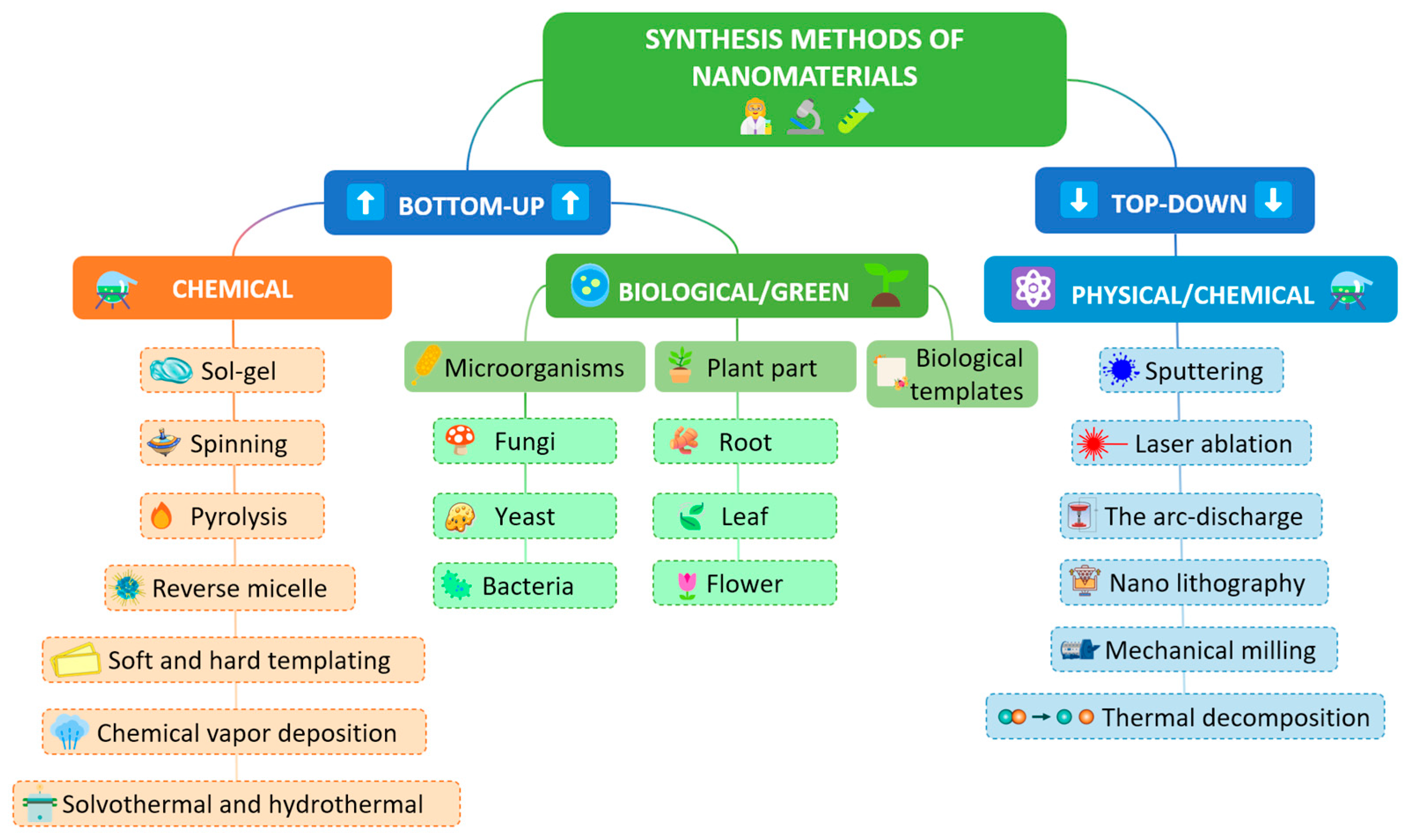 Chemosensors 13 00429 g005