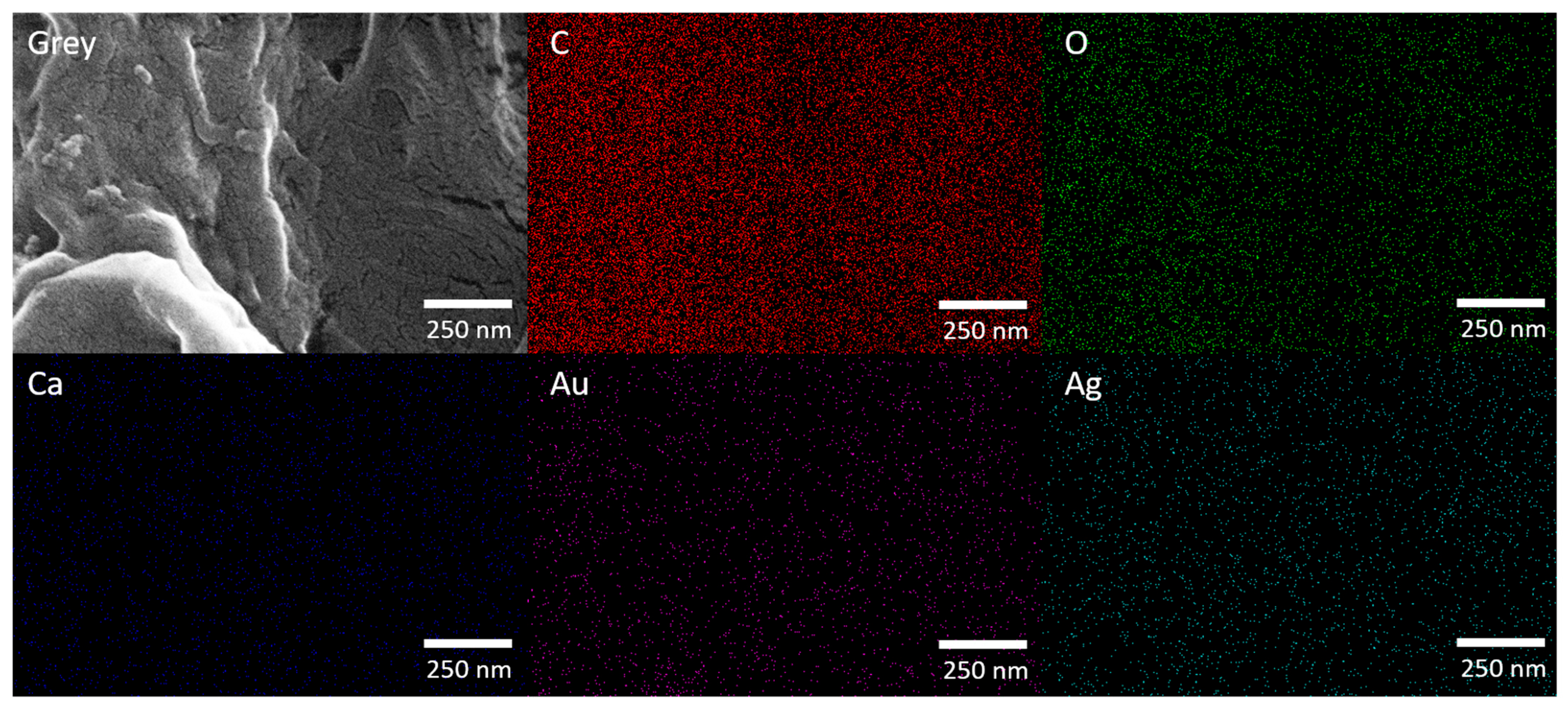 Chemosensors 13 00433 g004 Chemosensors 13 00433 g004