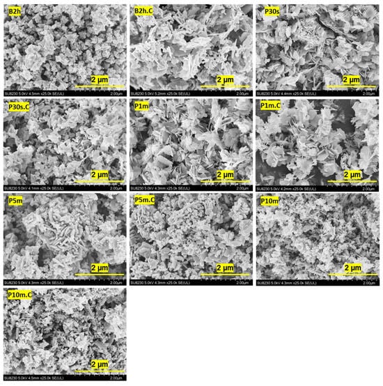 SEM images of ZnO NPs synthesized using different sonication methods and durations. The first set of images corresponds to ZnO NPs prepared by water bath sonication for 2 h (B2h), shown before and after calcination at 500 °C for 2 h. The subsequent images show ZnO NPs synthesized via probe ultrasonication for 30 s, 1 min, 5 min, and 10 min, also presented before and after calcination under the same thermal conditions. Each image is labeled with its corresponding synthesis condition for clear identification.