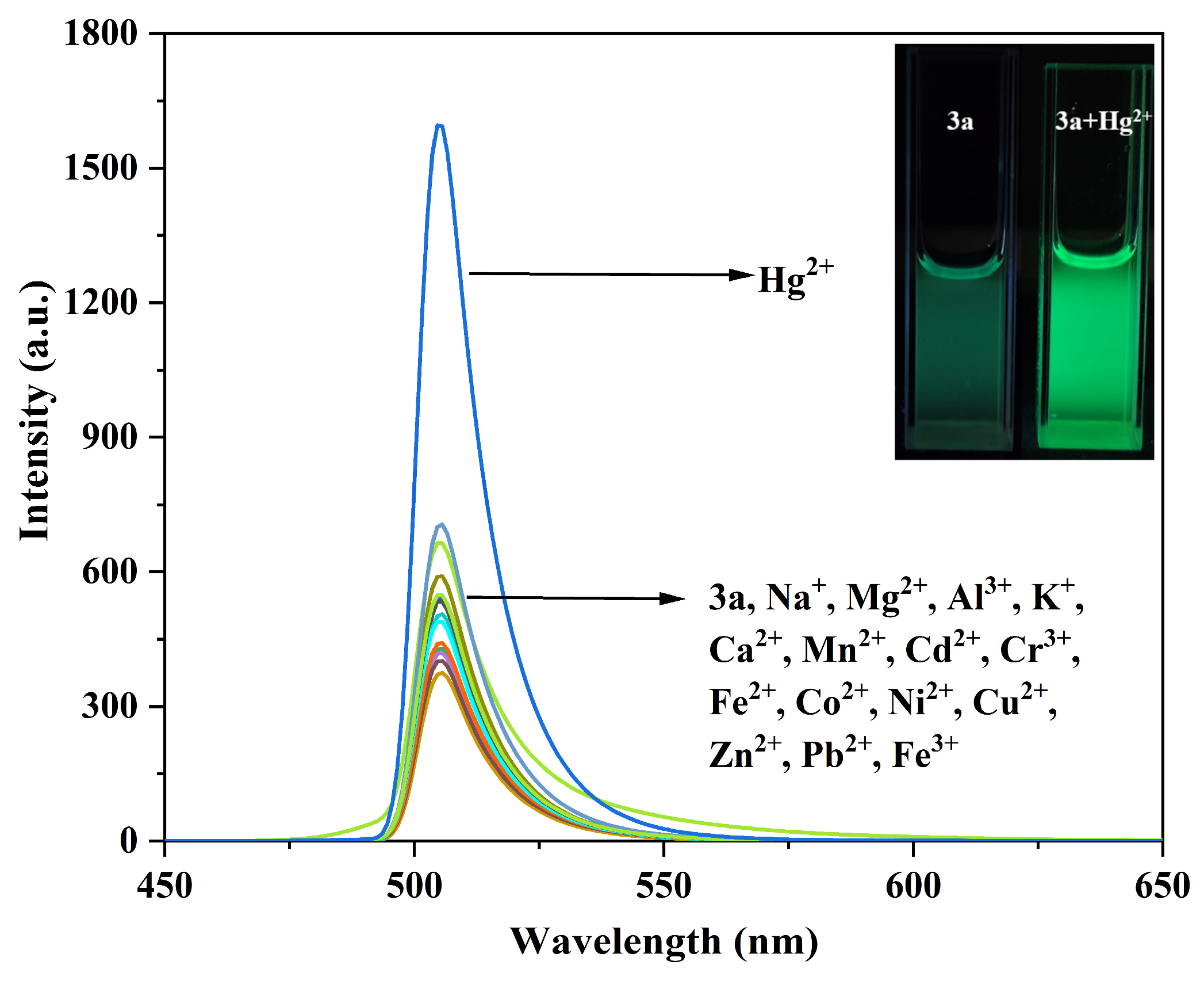 Chemosensors 14 00009 g008