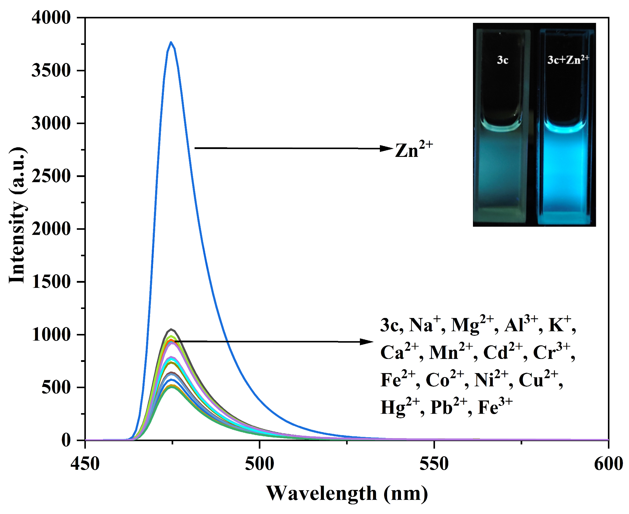 Chemosensors 14 00009 g009