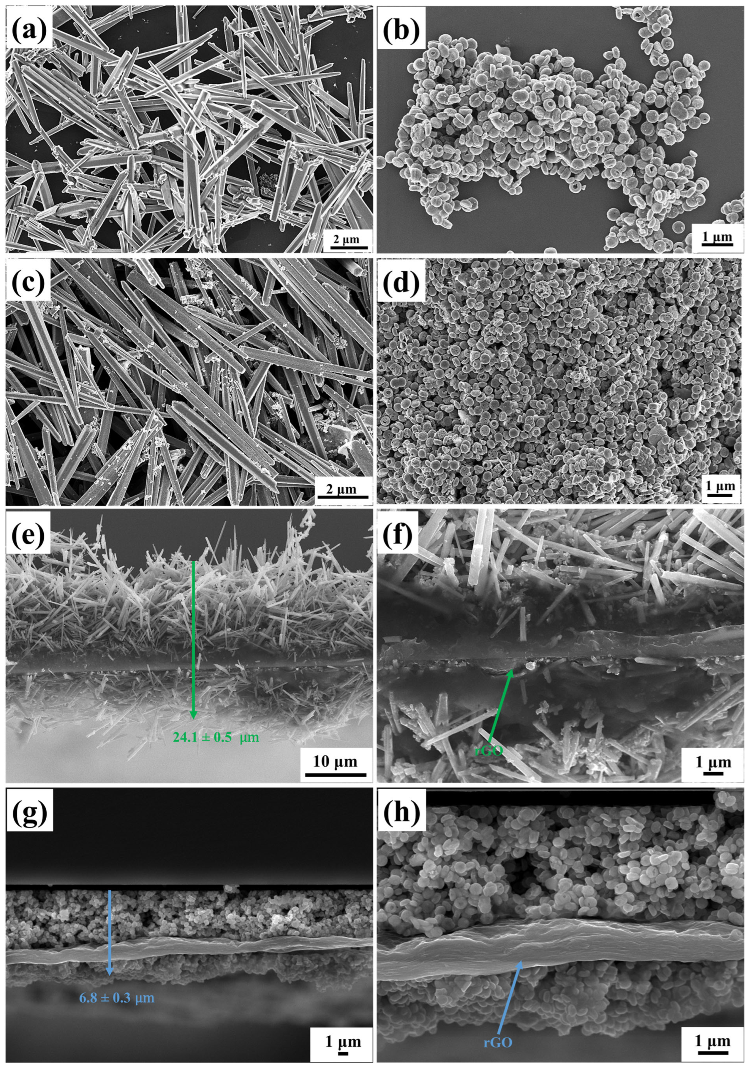 Chemosensors 14 00010 g004