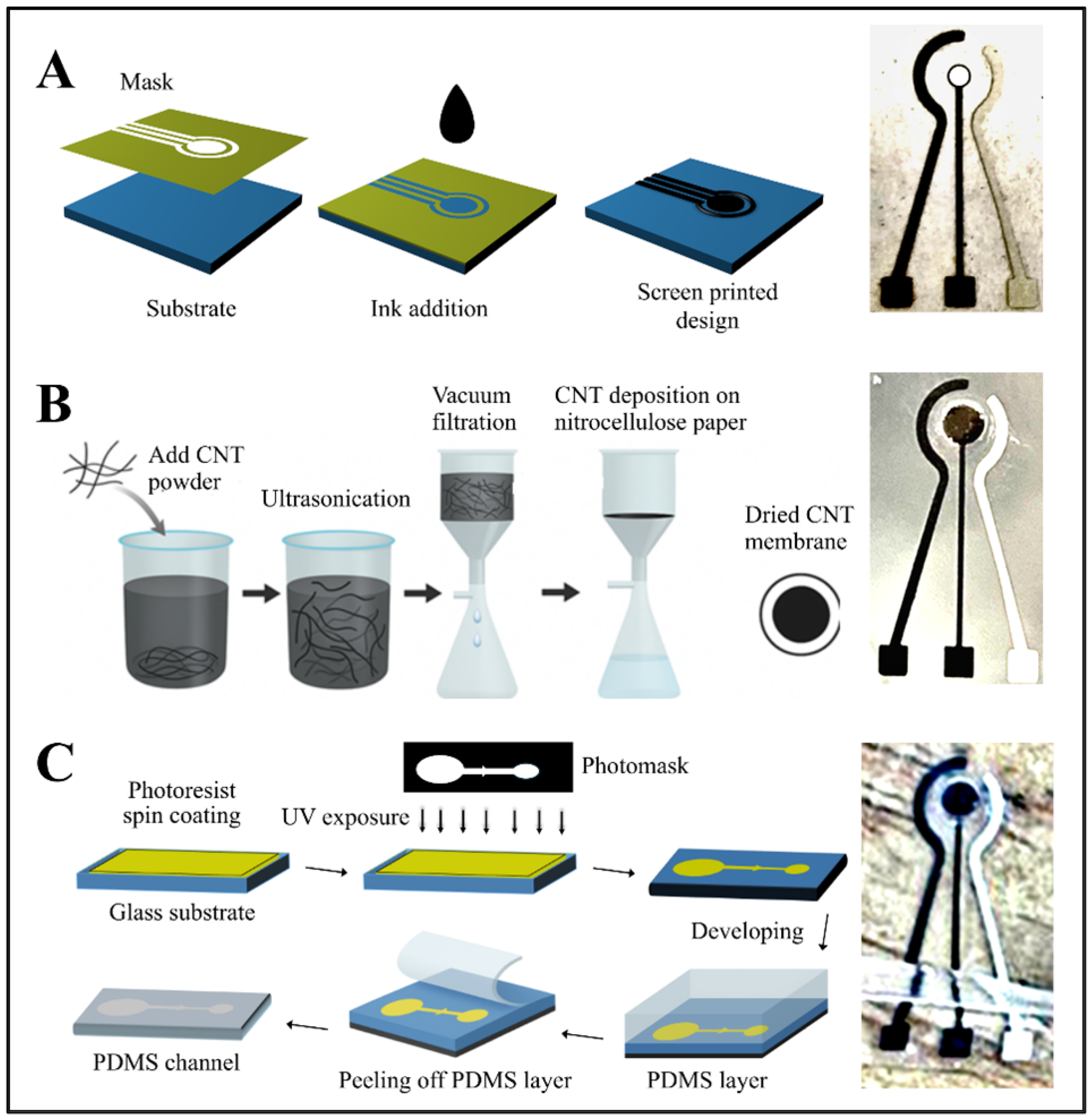 Chemosensors 14 00012 g001