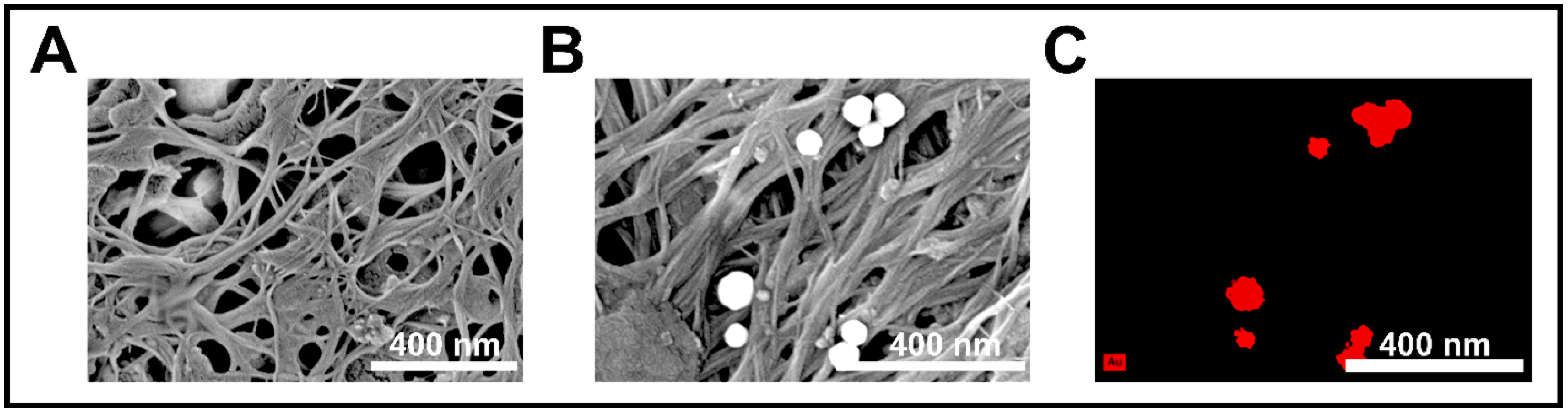 Chemosensors 14 00012 g005