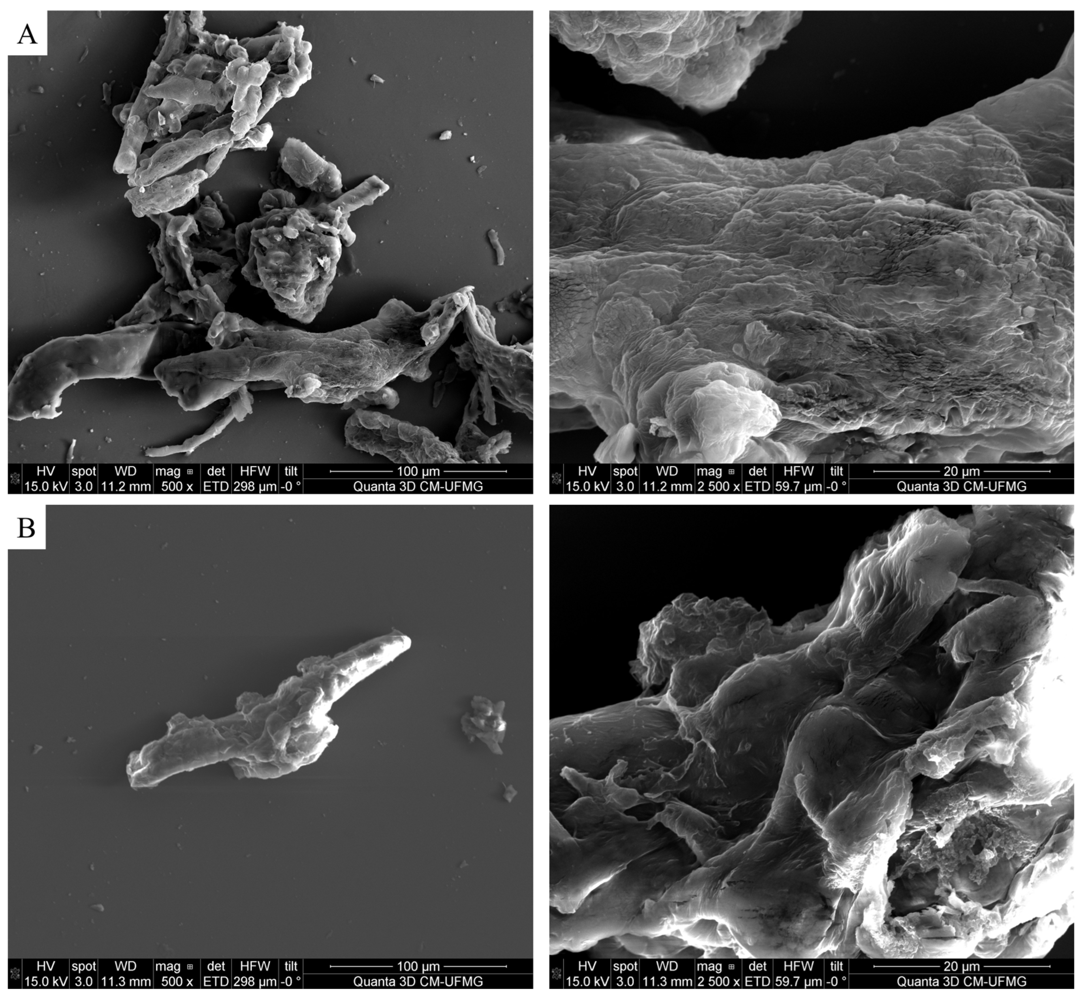 Chemosensors 14 00017 g004 Chemosensors 14 00017 g004