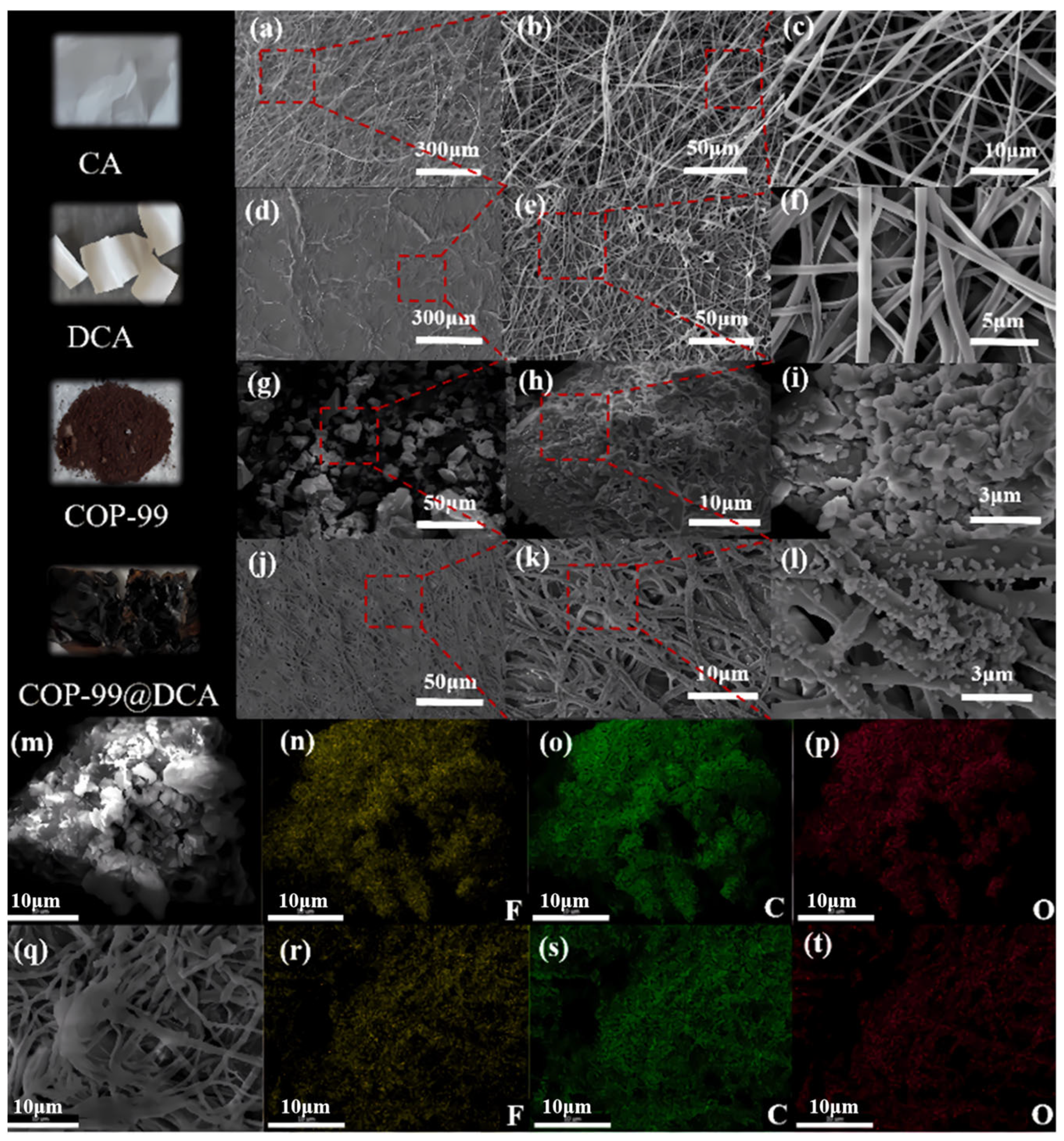 Chemosensors 14 00031 g001