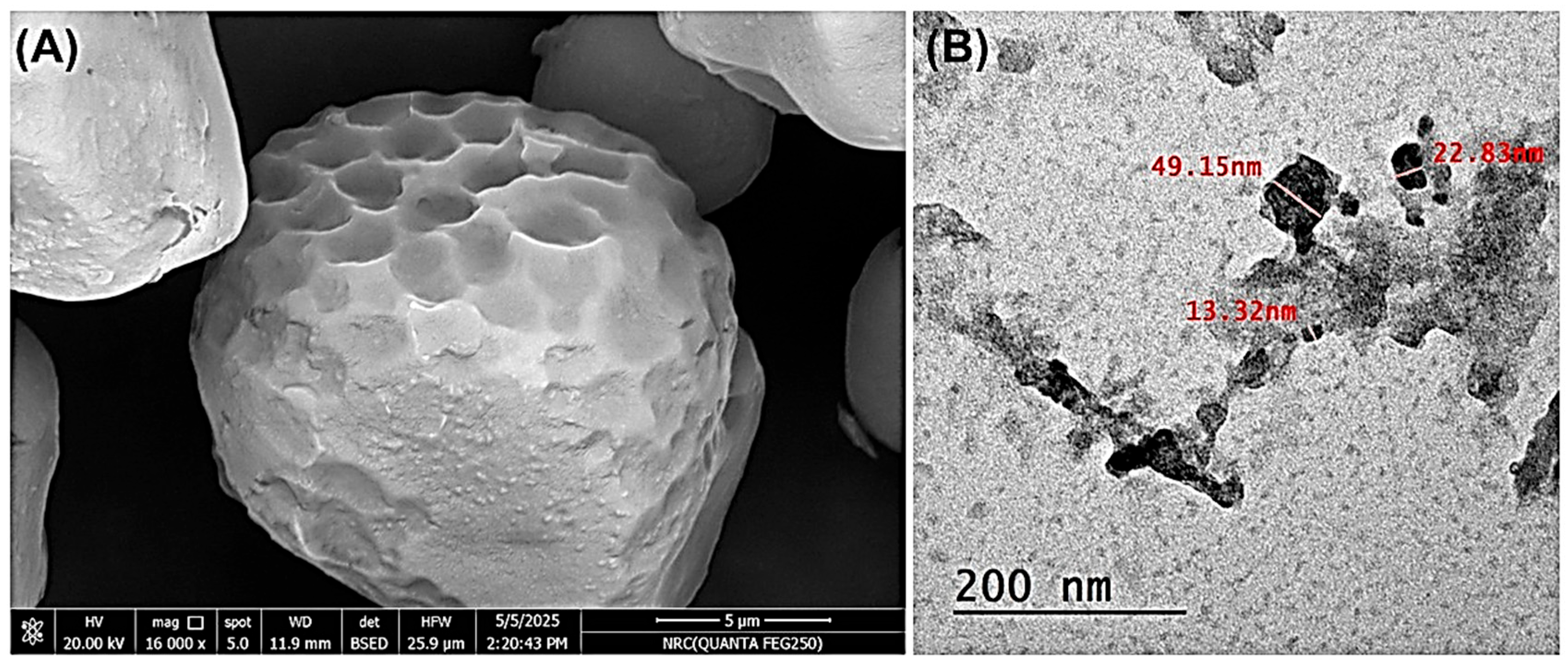 Chemosensors 14 00045 g003
