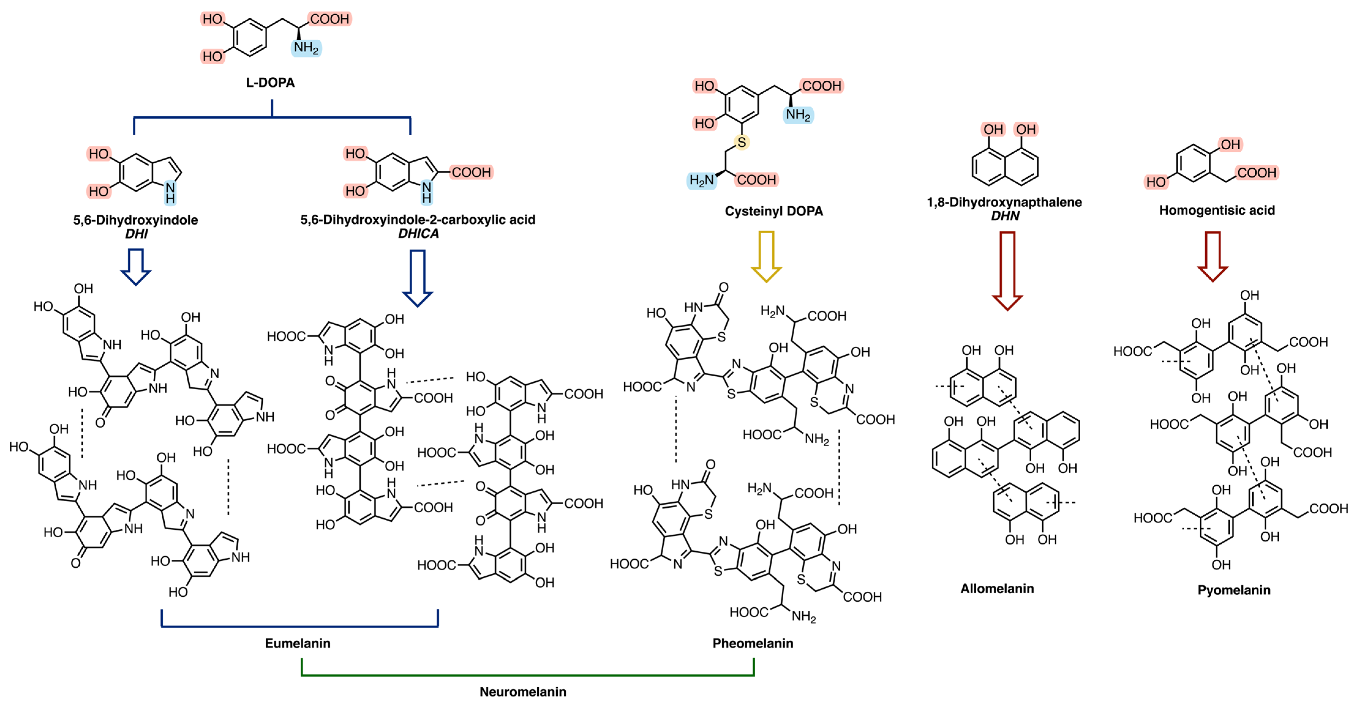Chemosensors 14 00066 g002