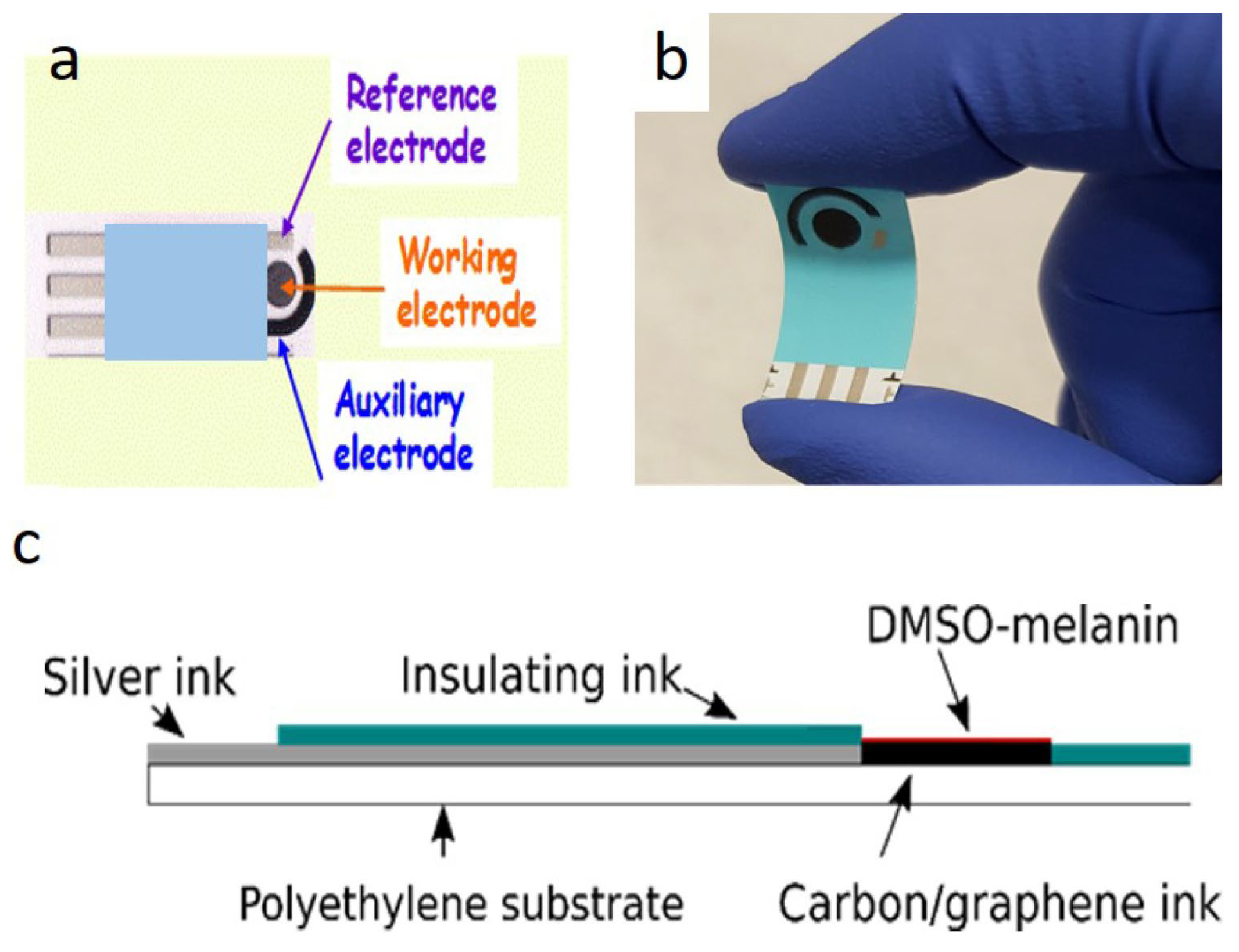 Chemosensors 14 00066 g004