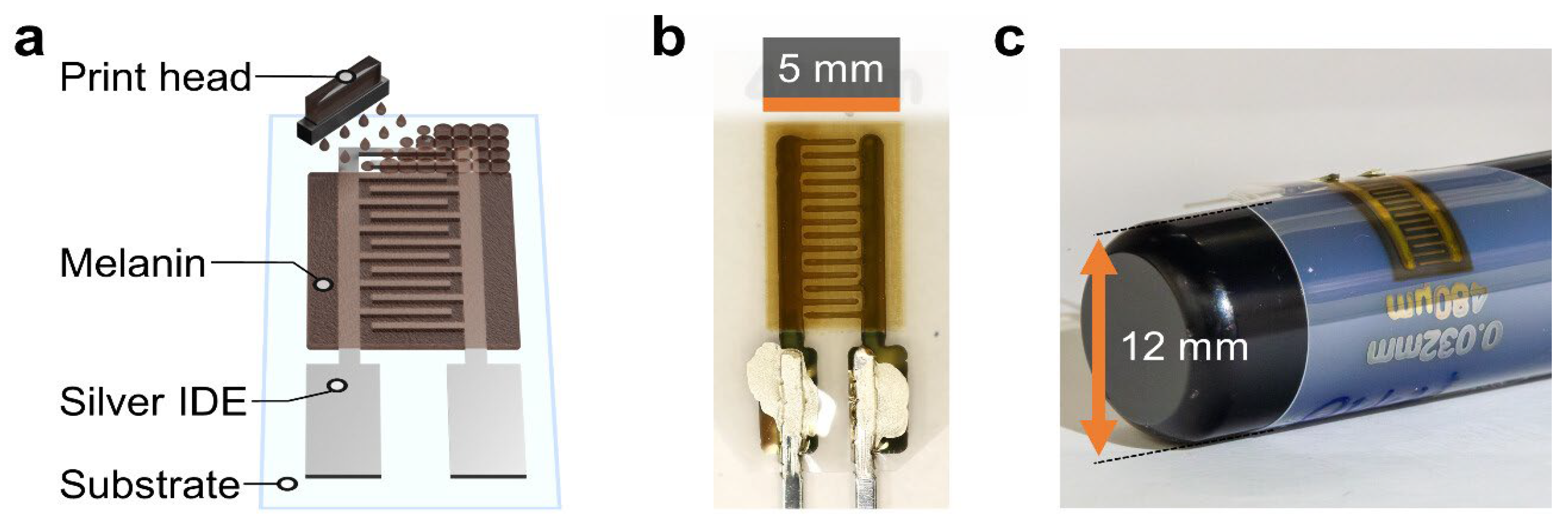 Chemosensors 14 00066 g005