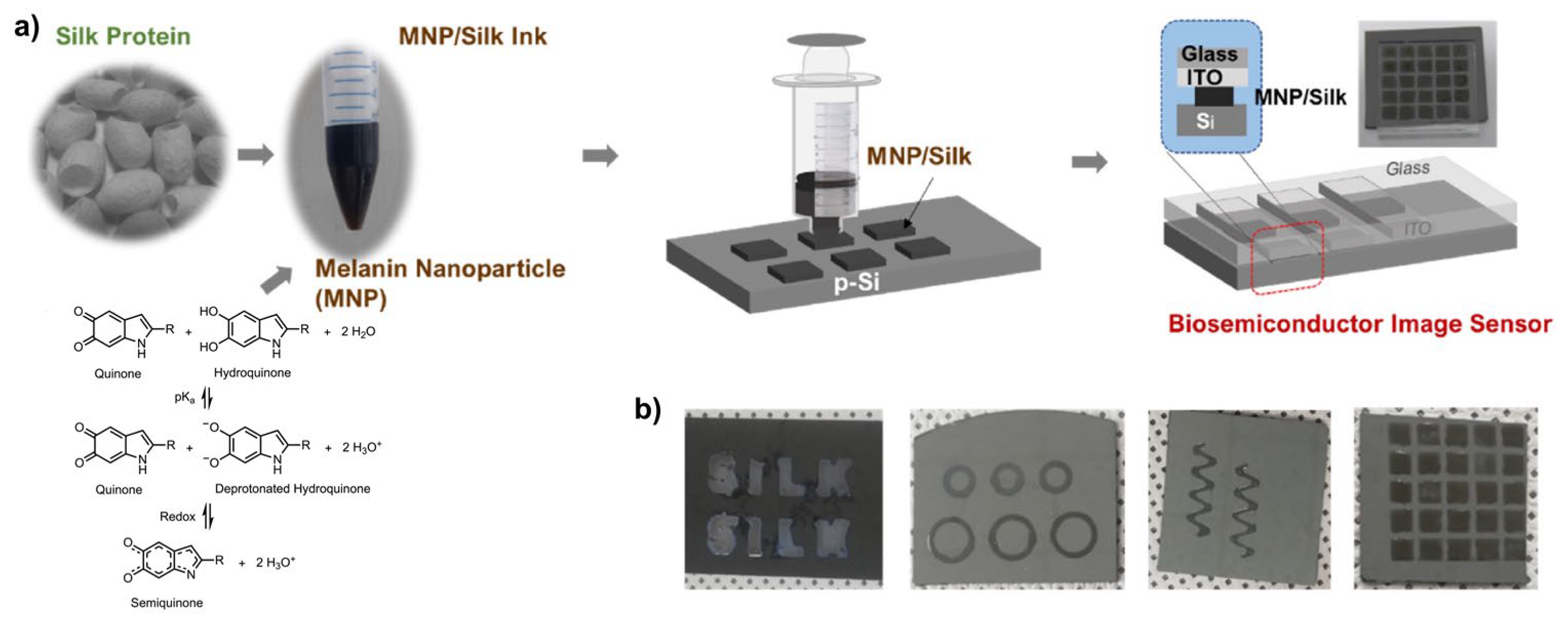 Chemosensors 14 00066 g007