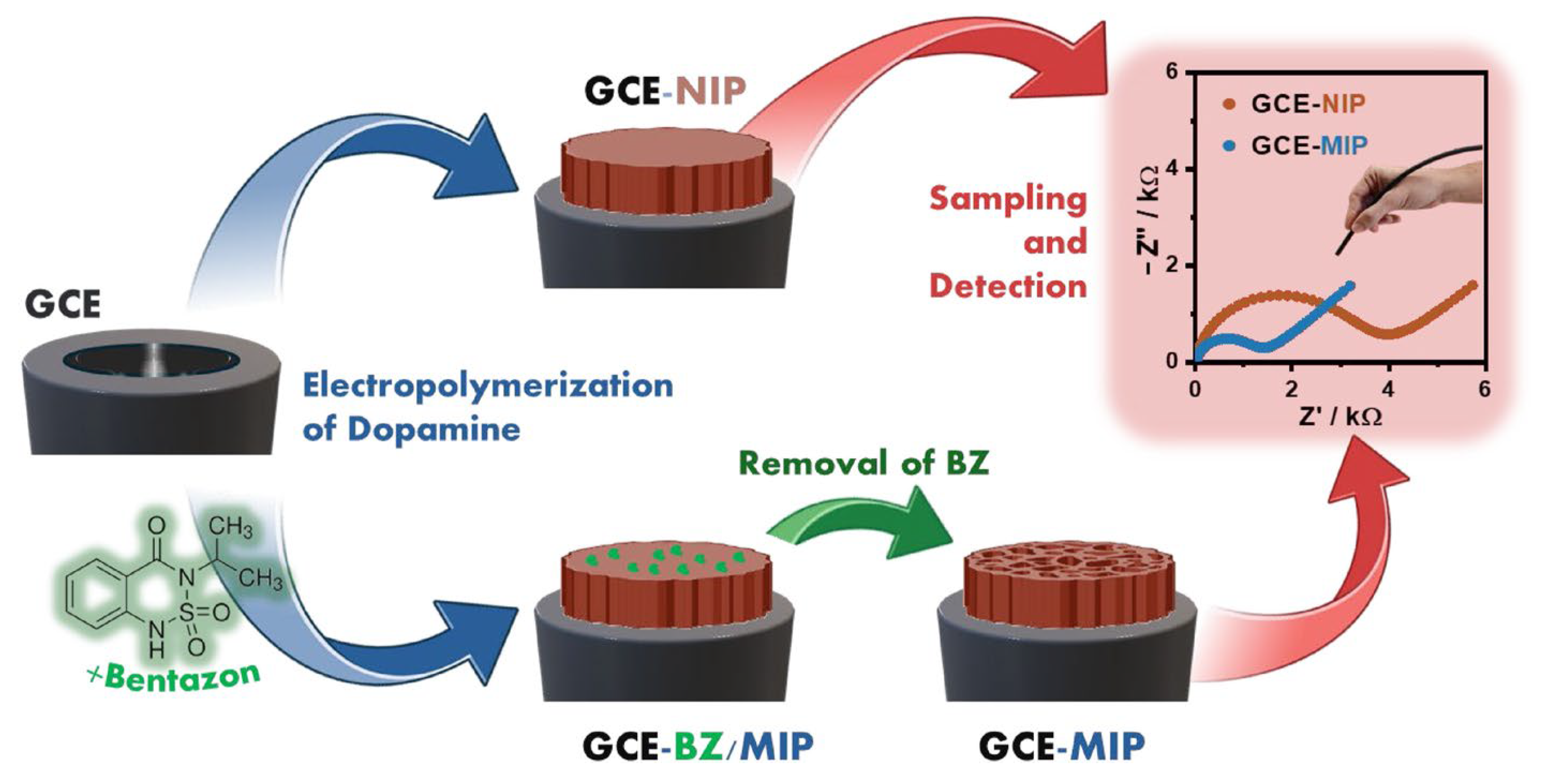 Chemosensors 14 00066 g008
