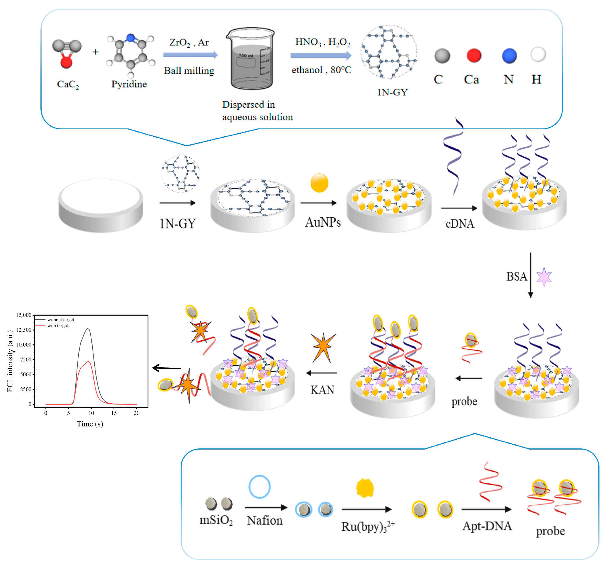 Chemosensors 14 00076 g001