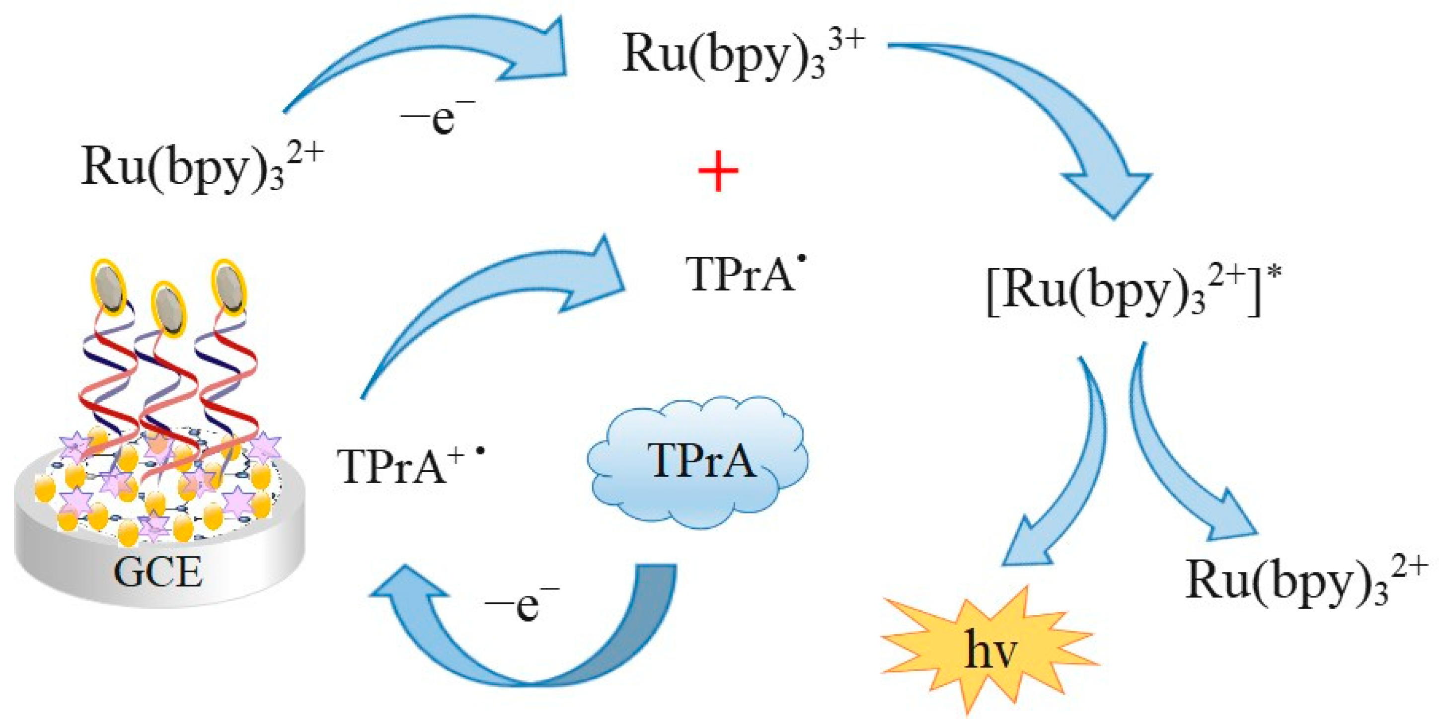 Chemosensors 14 00076 g002