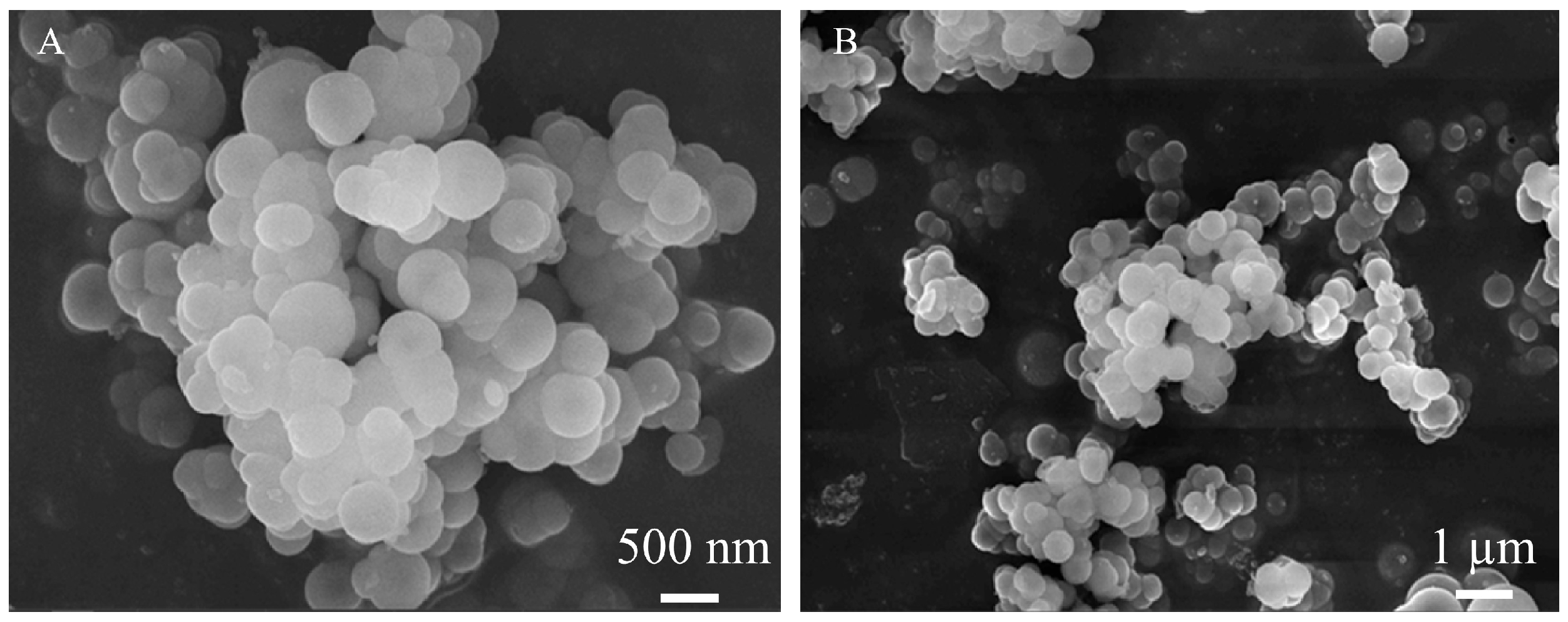 Chemosensors 14 00076 g005
