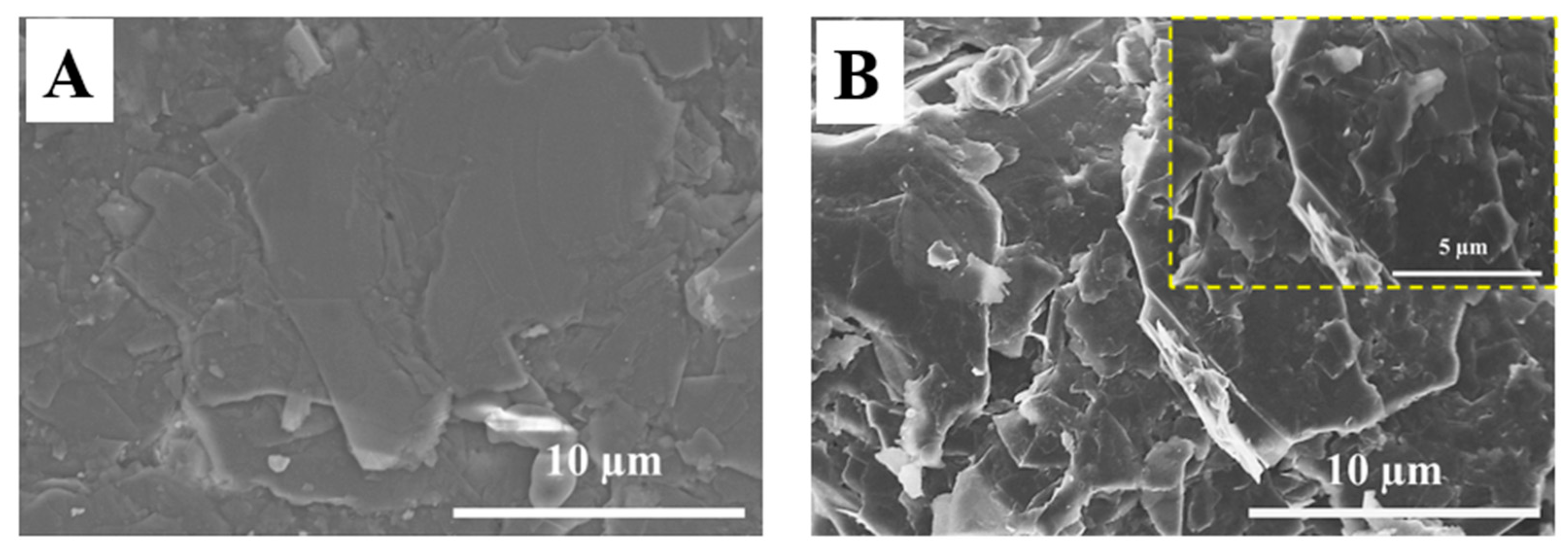 Chemosensors 14 00077 g001