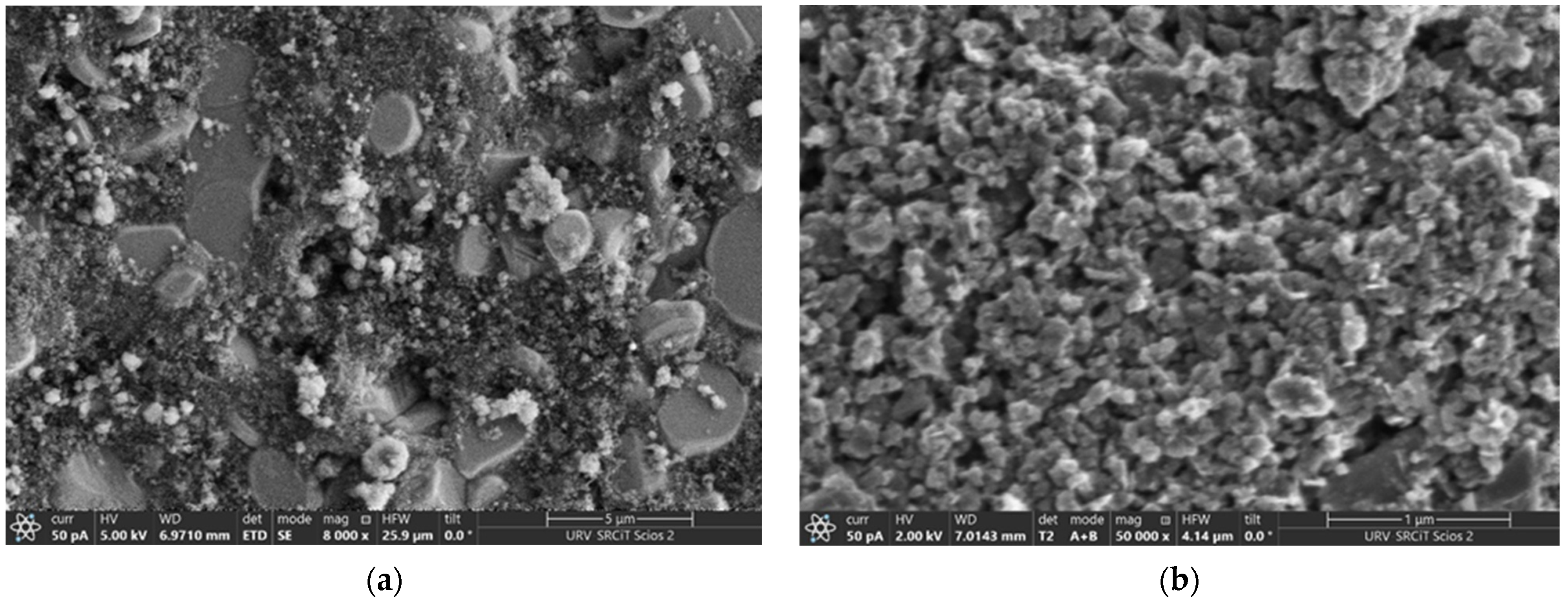 Chemosensors 14 00111 g001 Chemosensors 14 00111 g001
