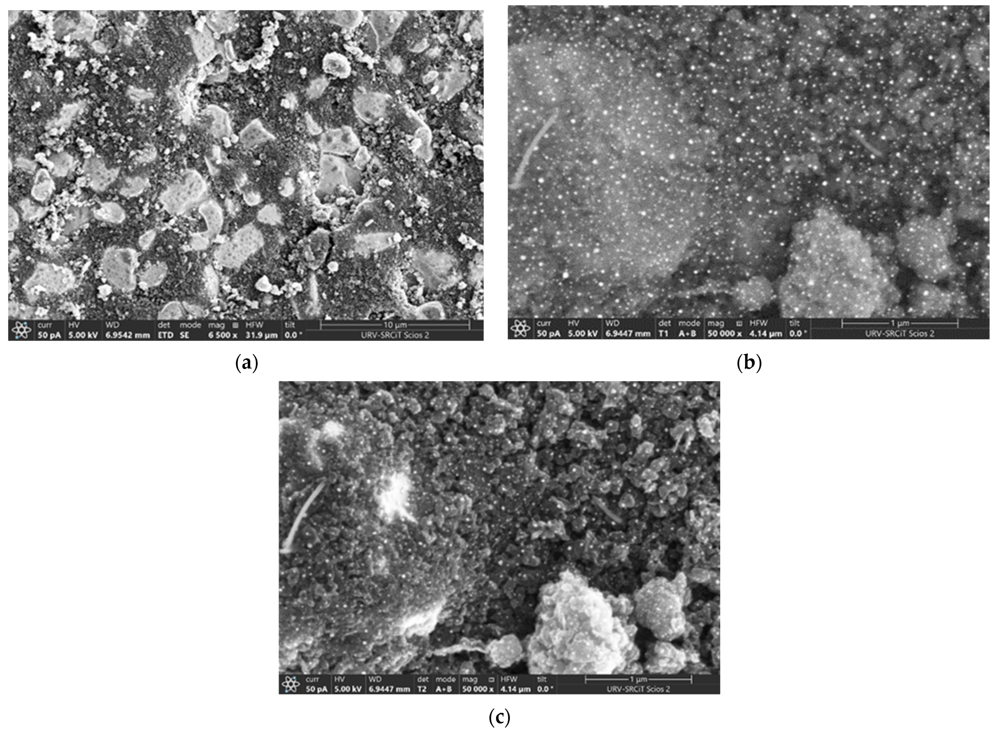 Chemosensors 14 00111 g002 Chemosensors 14 00111 g002