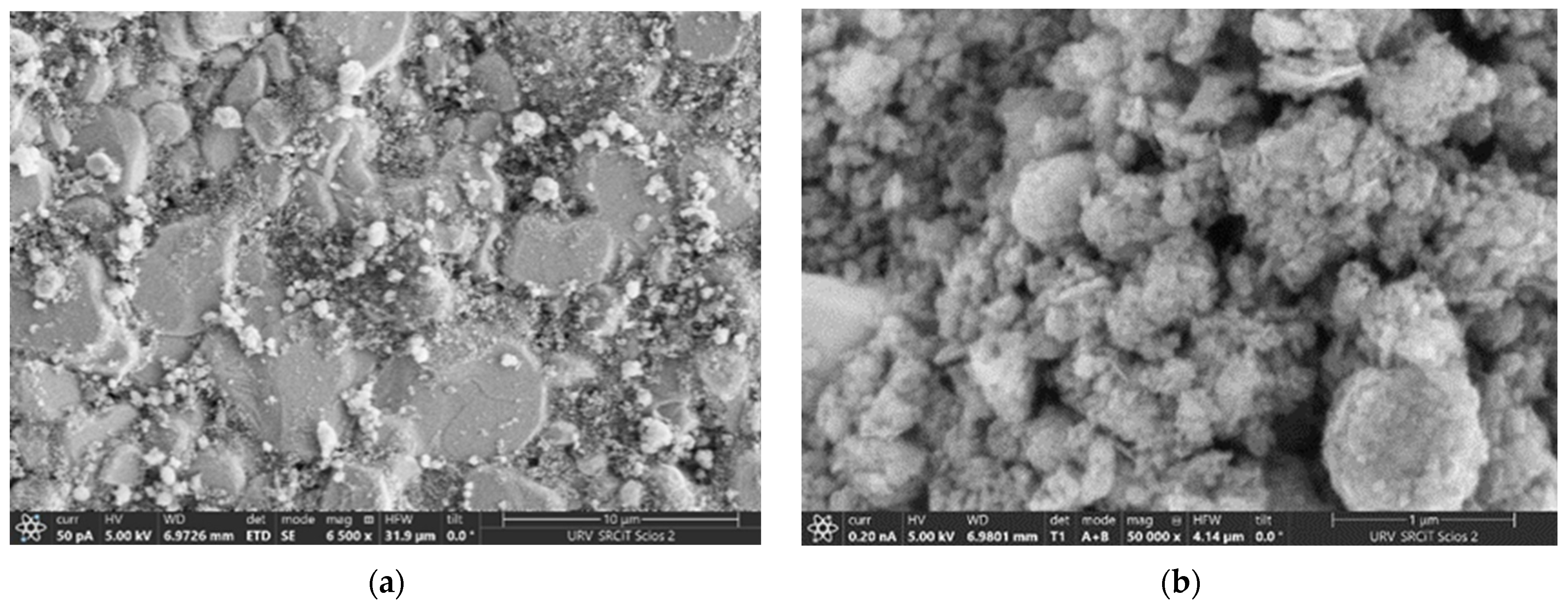 Chemosensors 14 00111 g003 Chemosensors 14 00111 g003