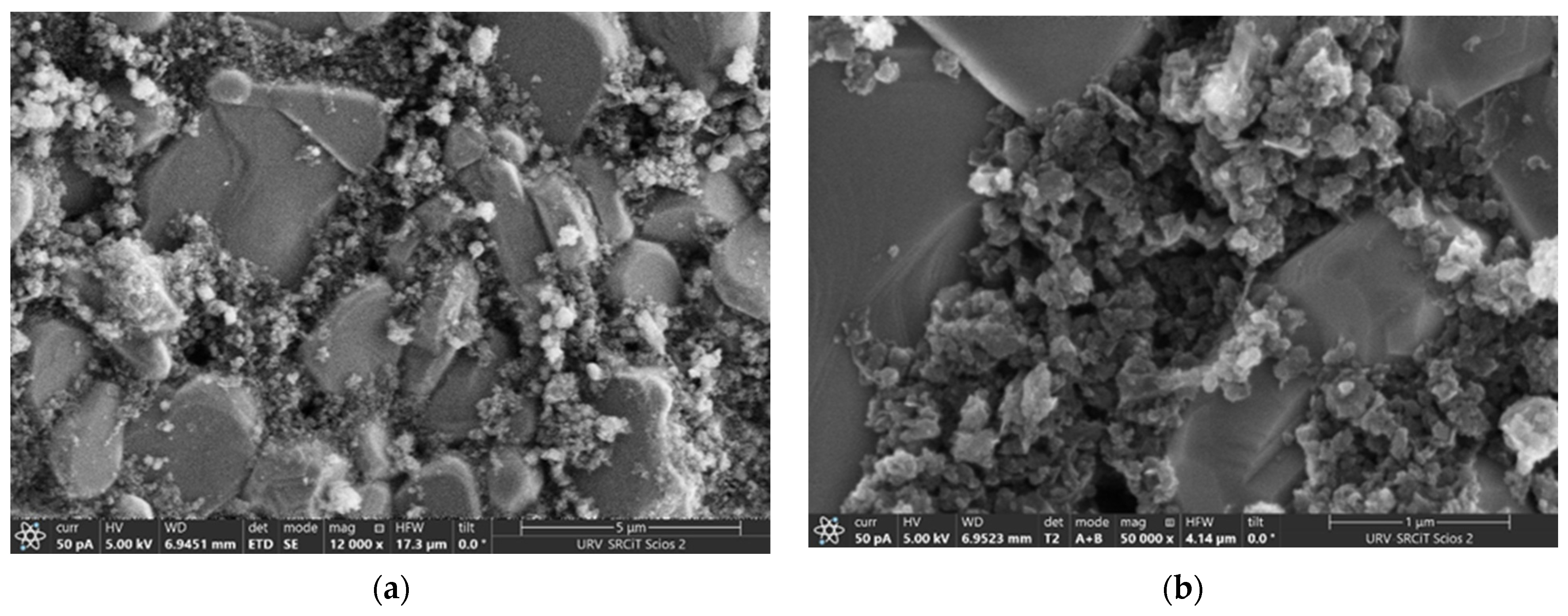 Chemosensors 14 00111 g004 Chemosensors 14 00111 g004