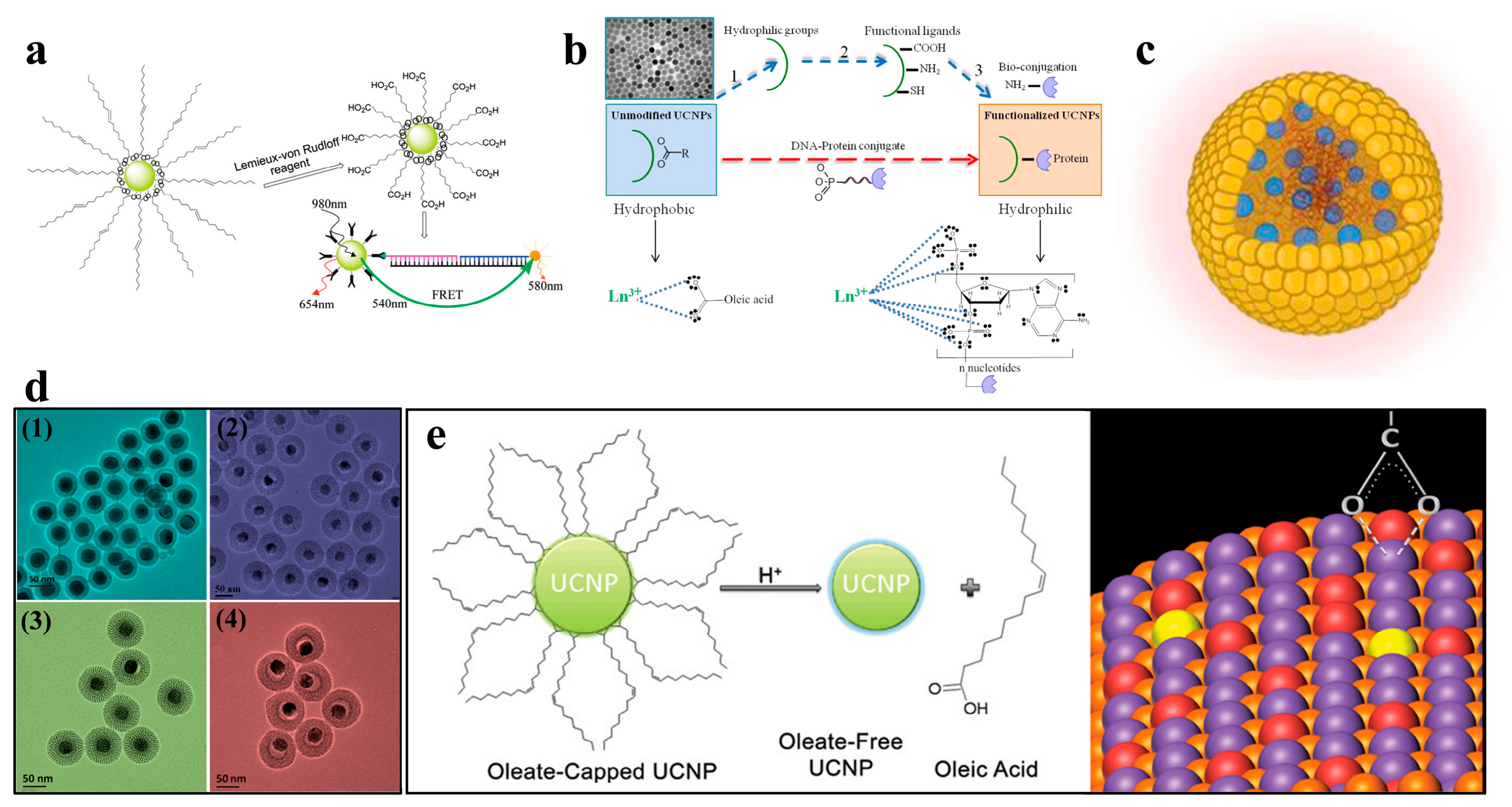 Chemosensors 14 00134 g003 Chemosensors 14 00134 g003
