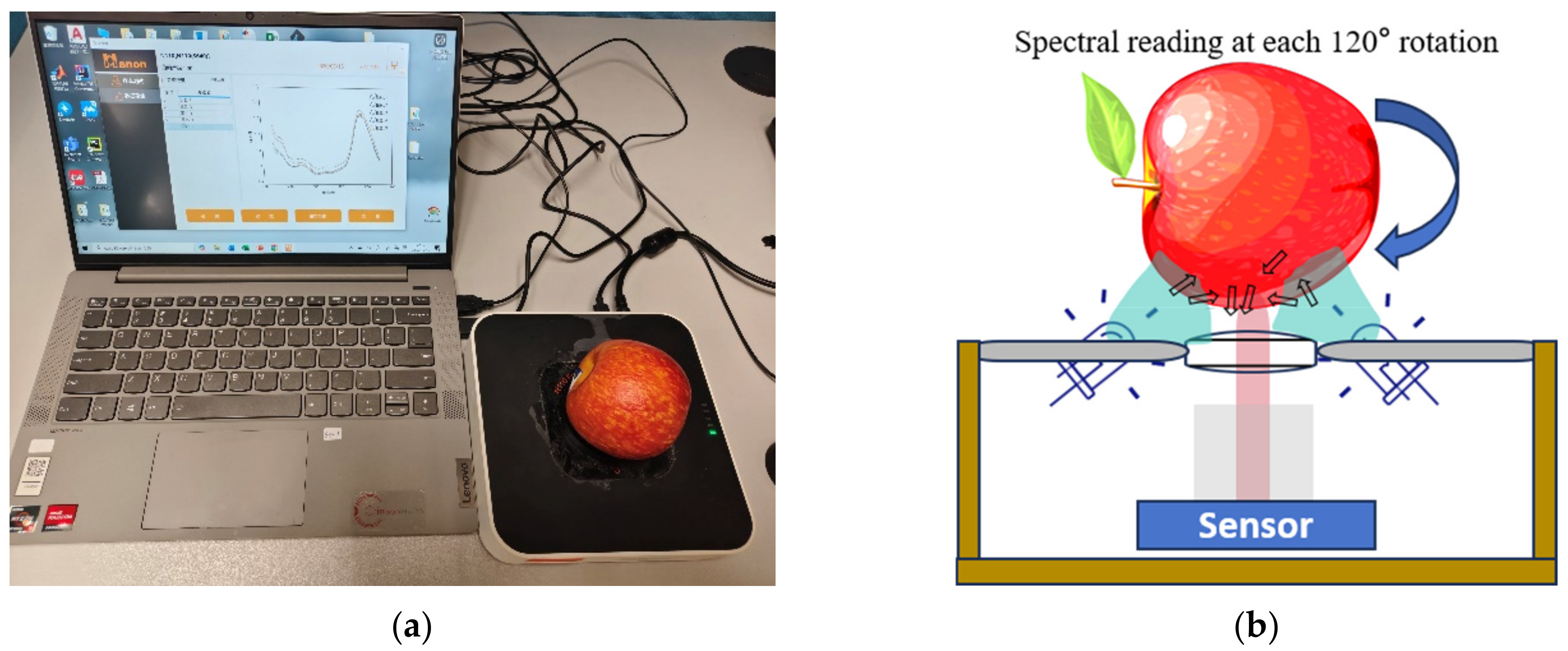 Chemosensors 14 00186 g001 Chemosensors 14 00186 g001