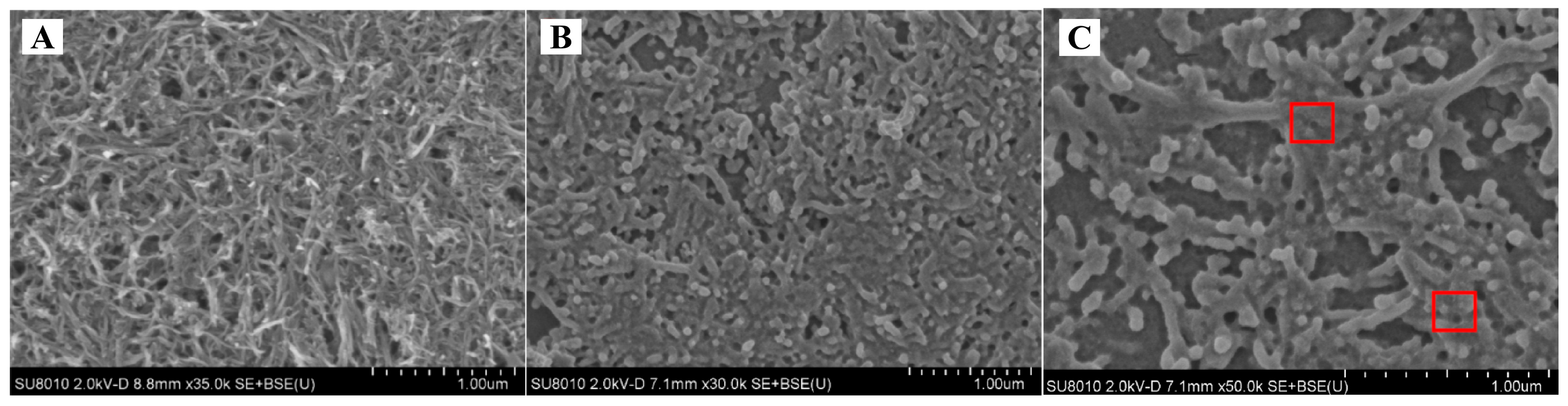 Chemosensors 14 00187 g002 Chemosensors 14 00187 g002