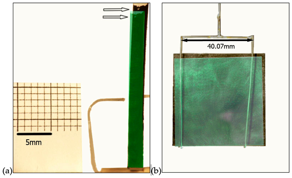 Chemosensors 14 00193 g006 Chemosensors 14 00193 g006