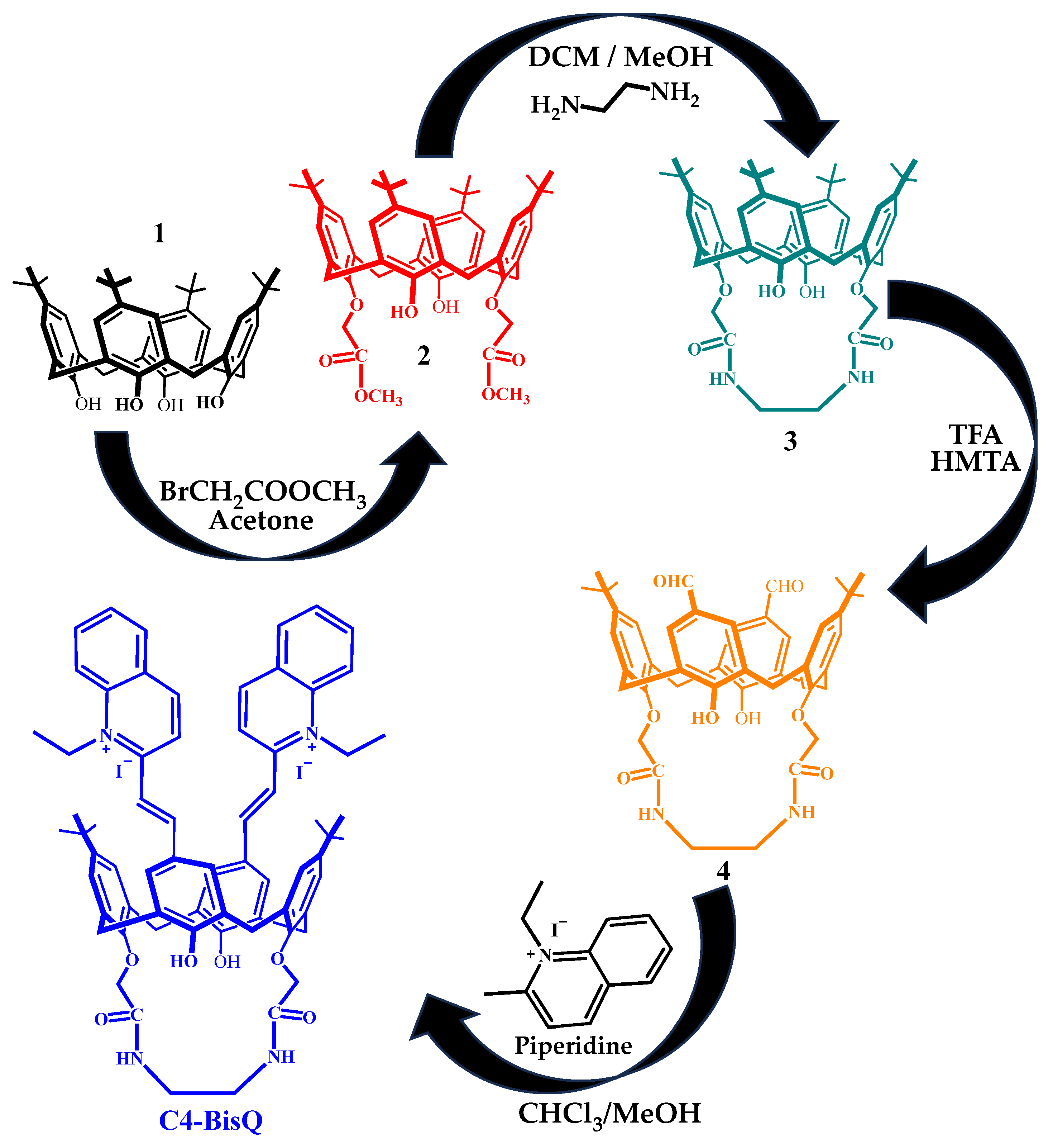 Chemosensors 14 00205 sch001