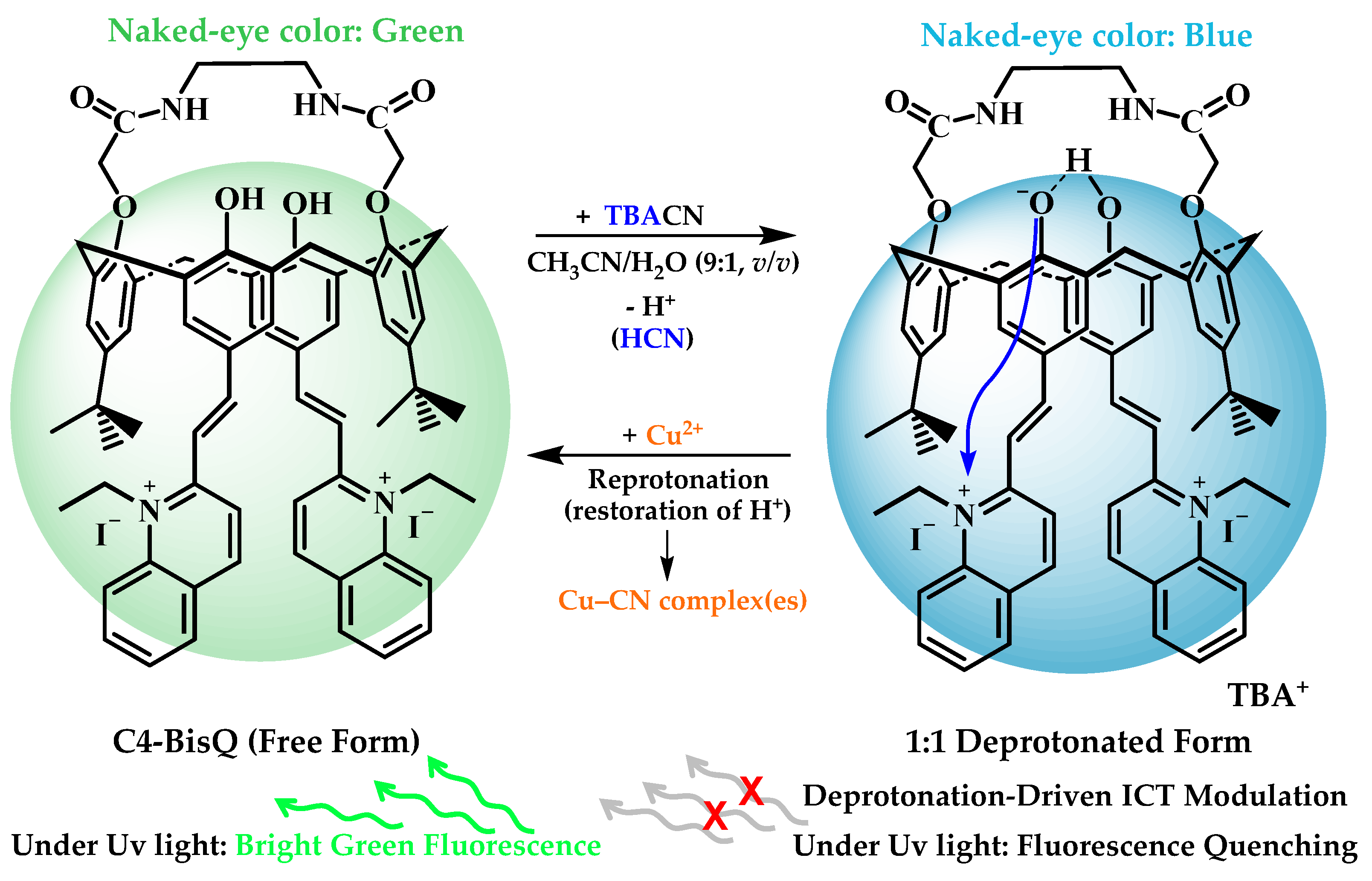 Chemosensors 14 00205 sch002