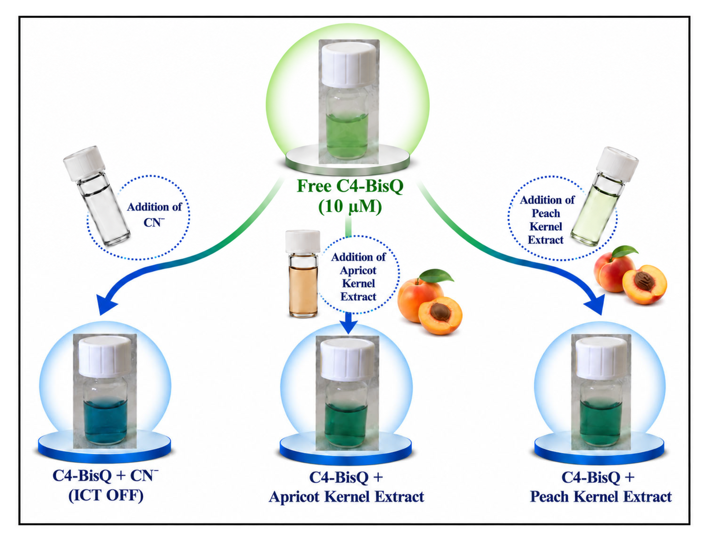 Chemosensors 14 00205 sch003