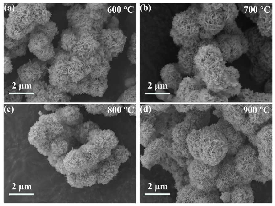 Chemosensors 14 00207 g002