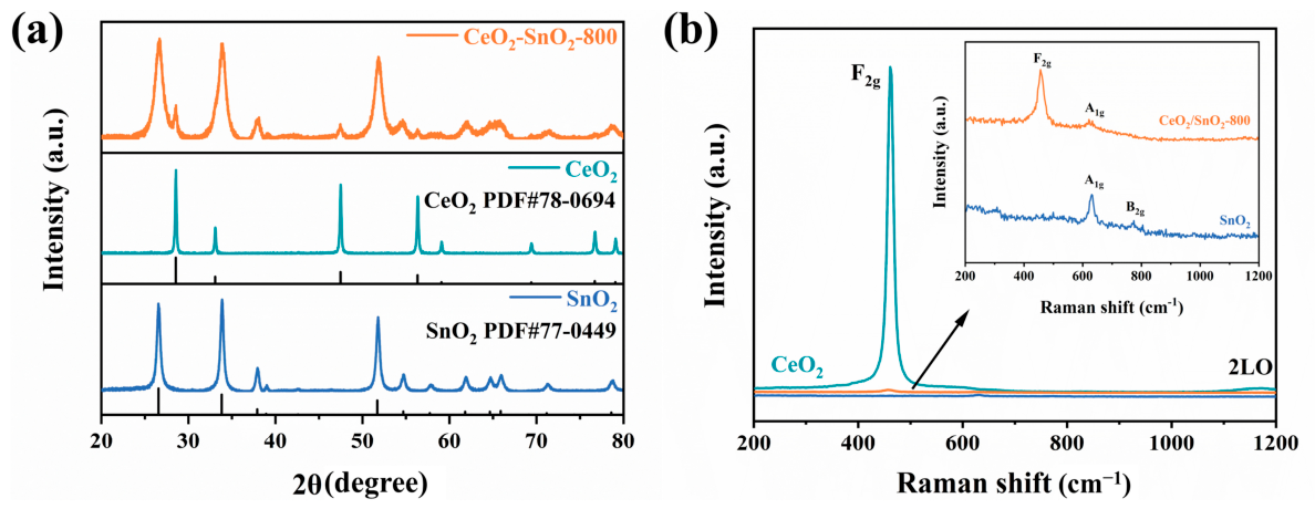 Chemosensors 14 00207 g004