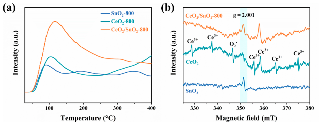 Chemosensors 14 00207 g010