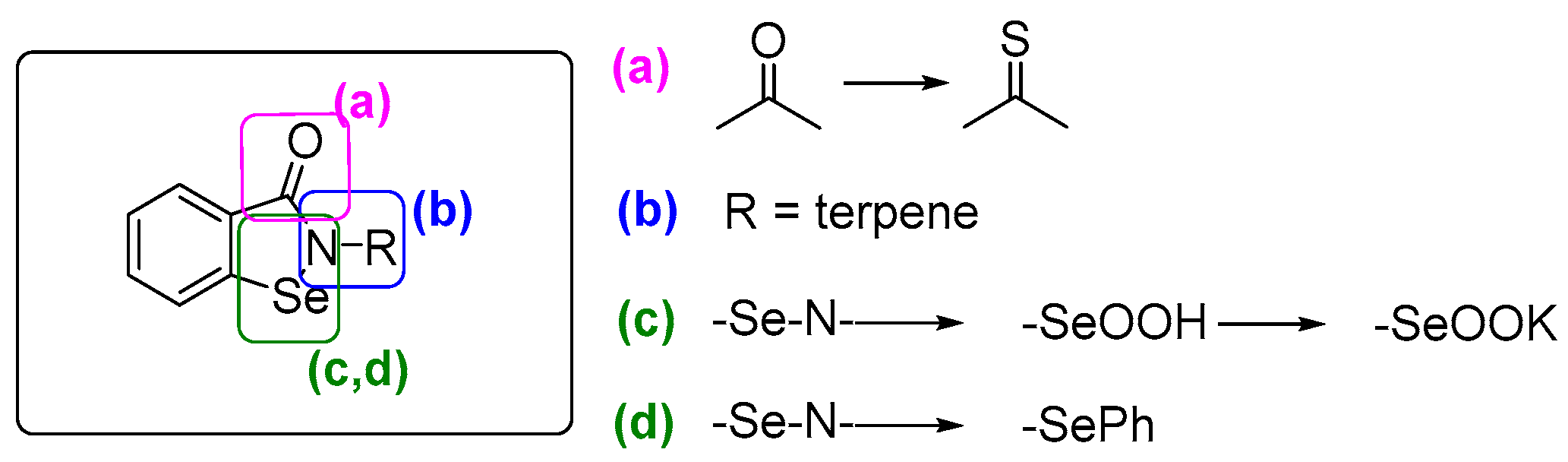 Chemproc 02 00005 sch001 Chemproc 02 00005 sch001