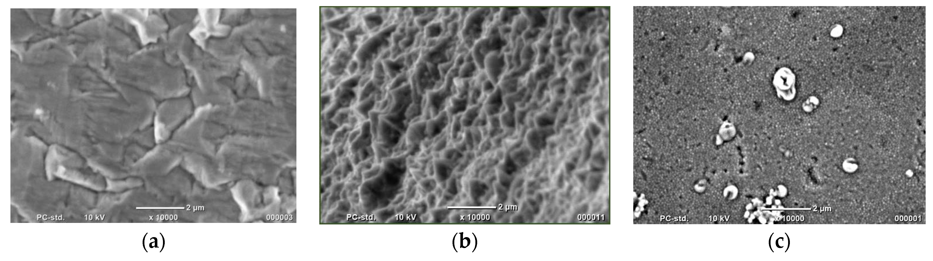 Chemproc 02 00012 g001