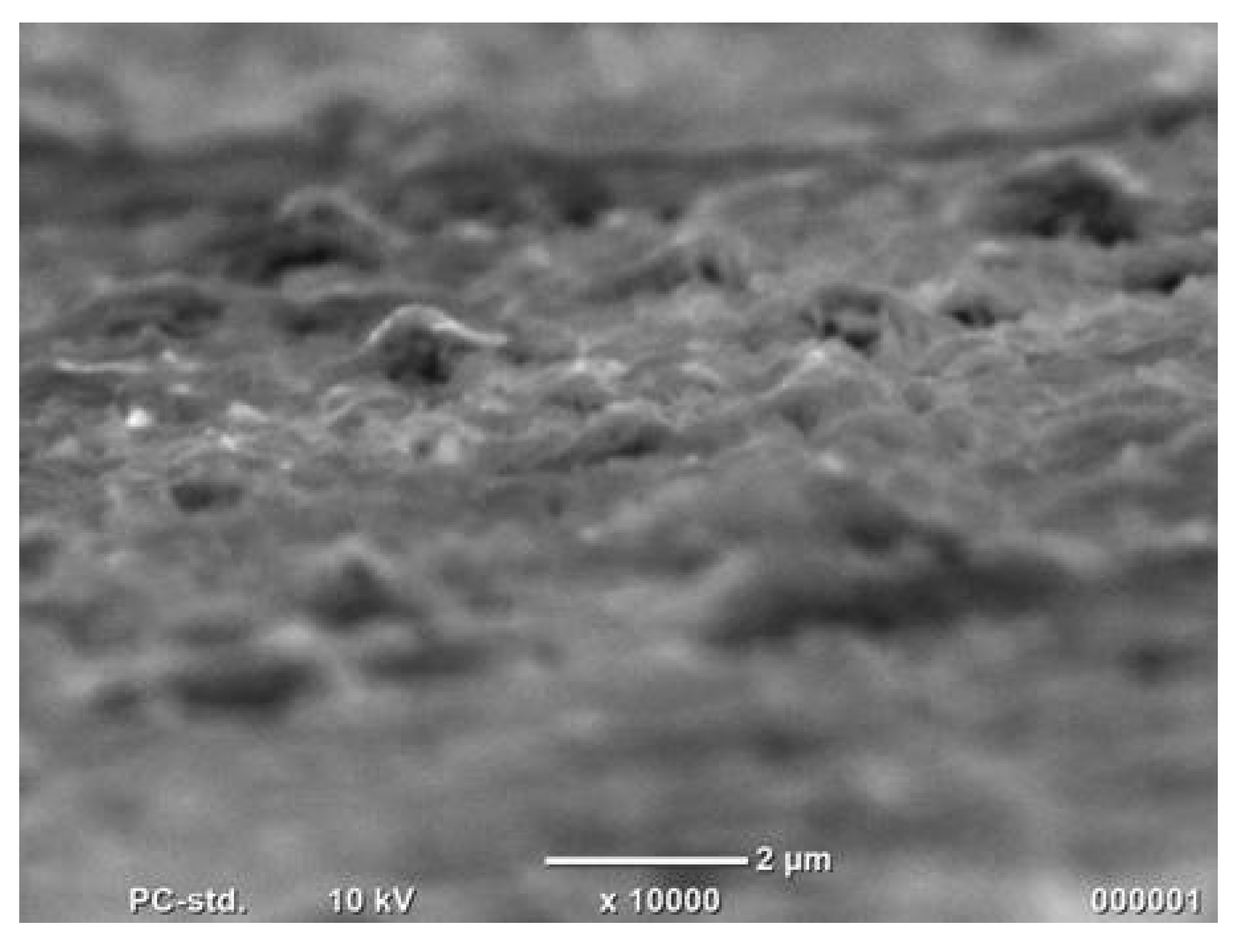 Chemproc 02 00012 g004