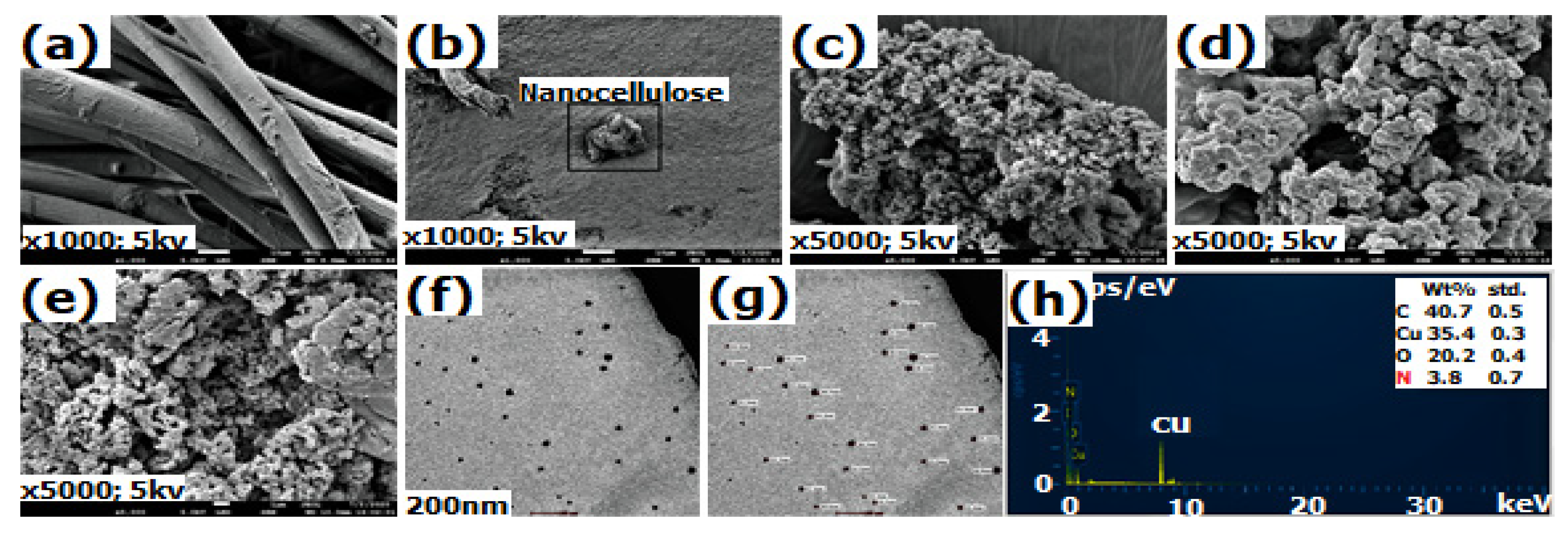 Chemproc 02 00014 g002 Chemproc 02 00014 g002