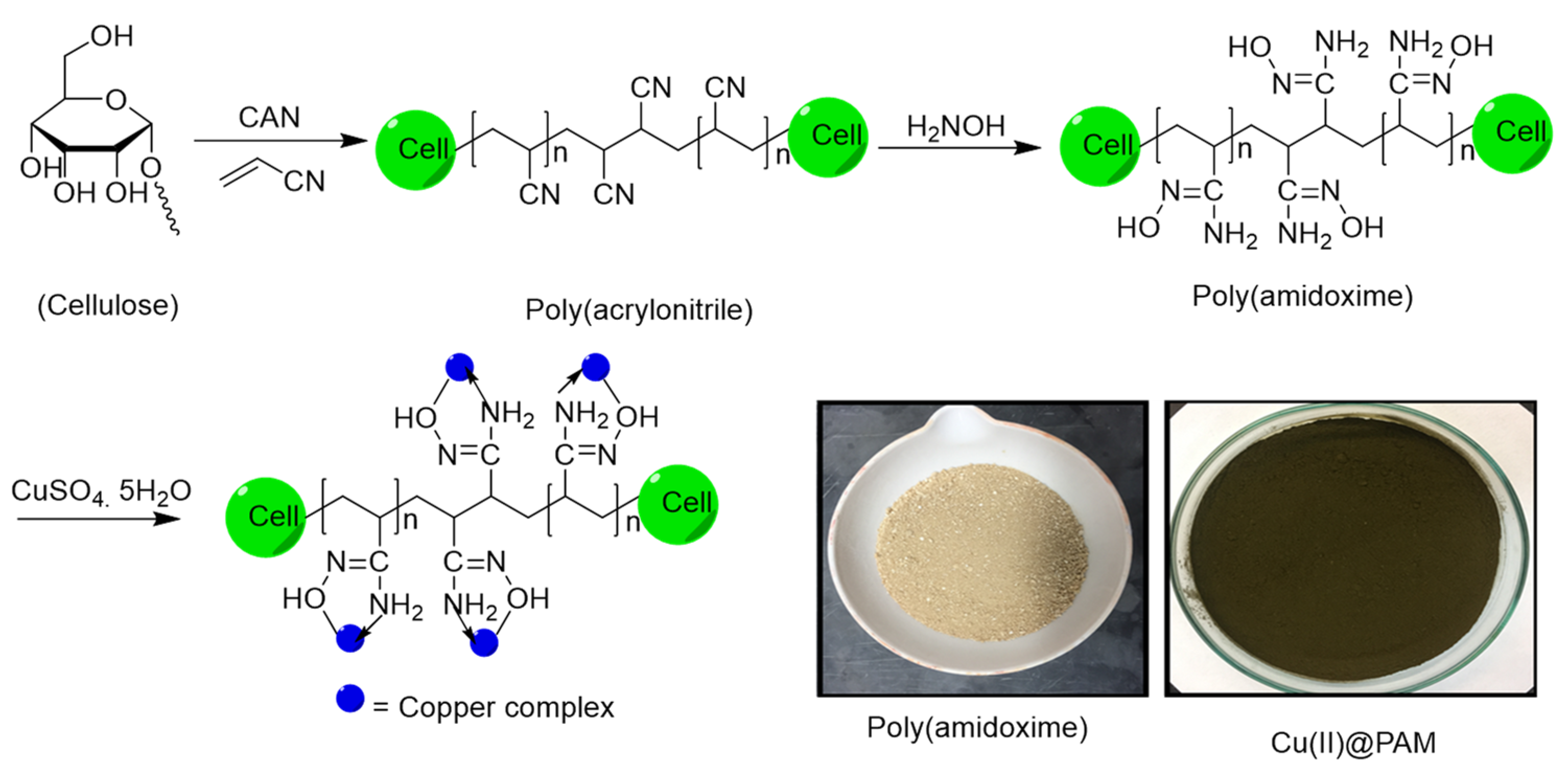 Chemproc 02 00014 sch001 Chemproc 02 00014 sch001