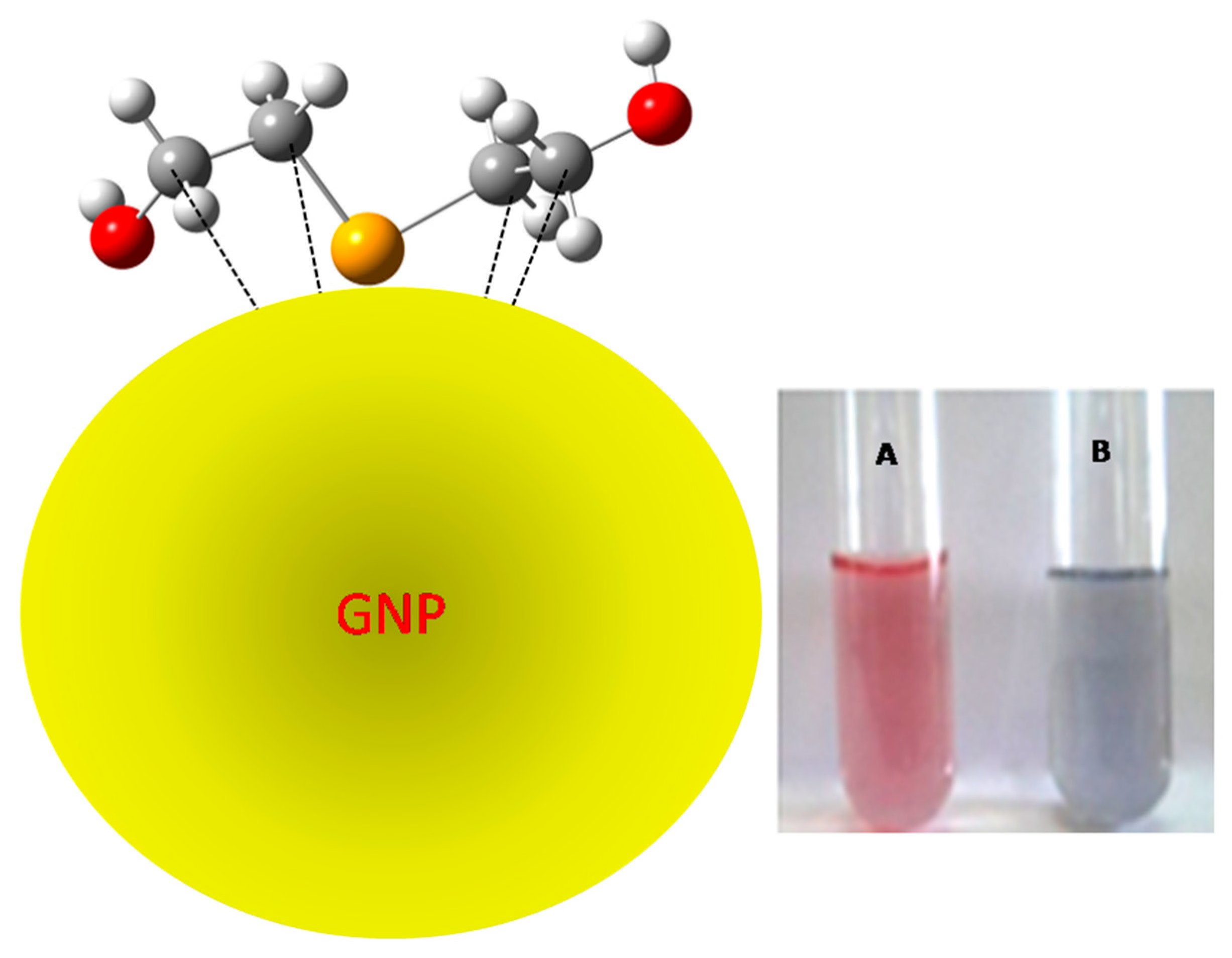 Chemproc 02 00024 g001