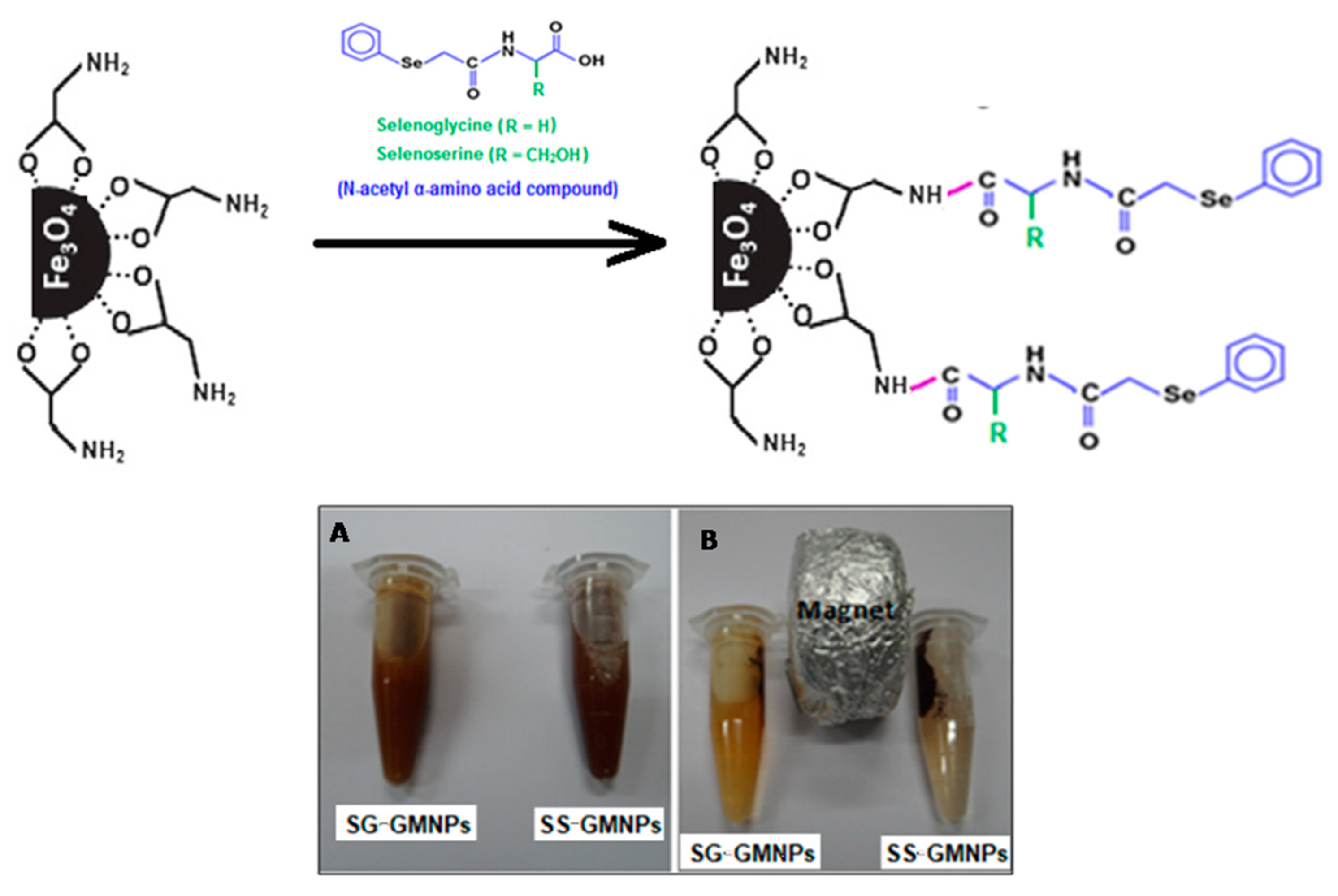 Chemproc 02 00024 g002