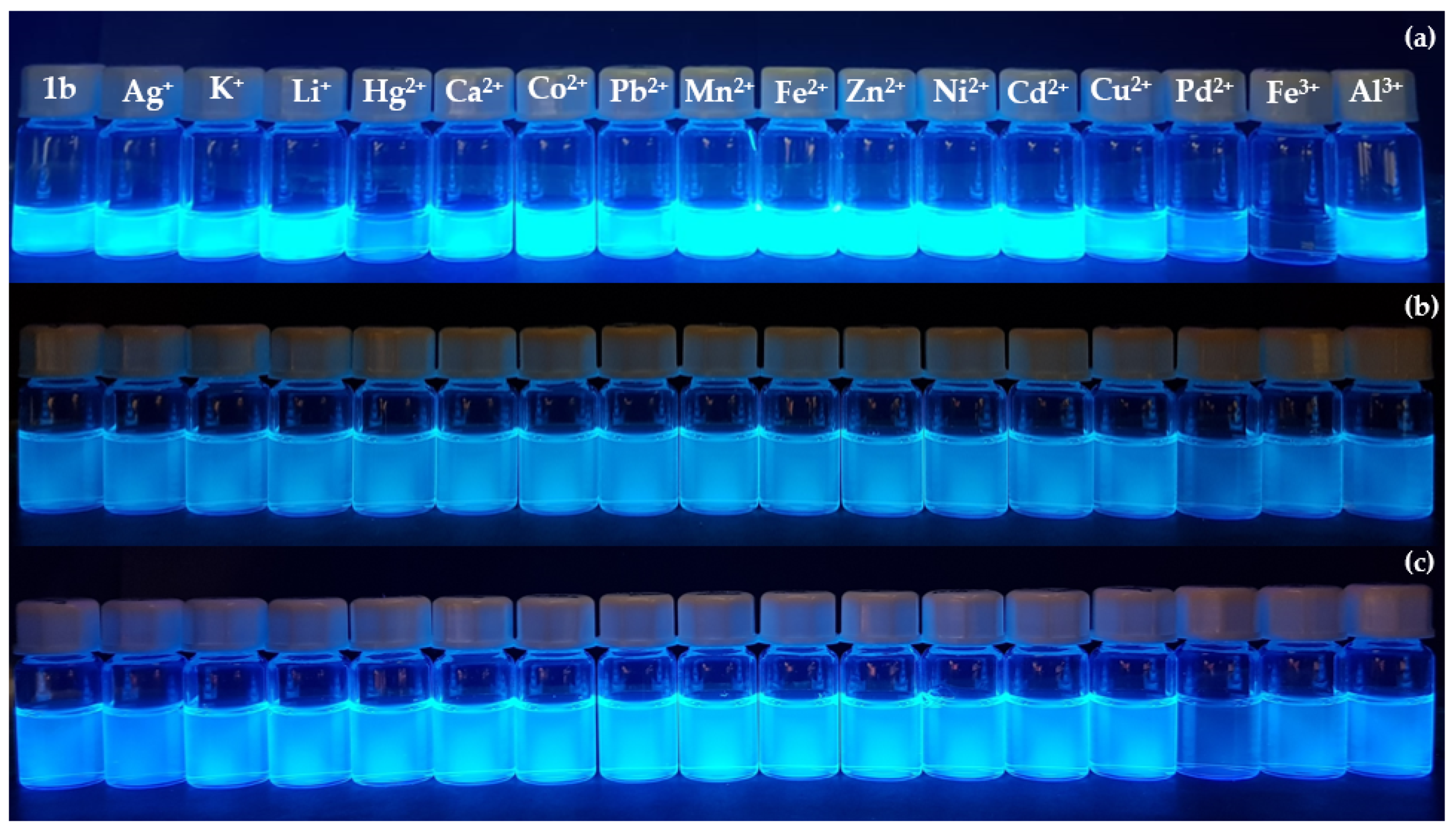 Chemproc 03 00005 g003
