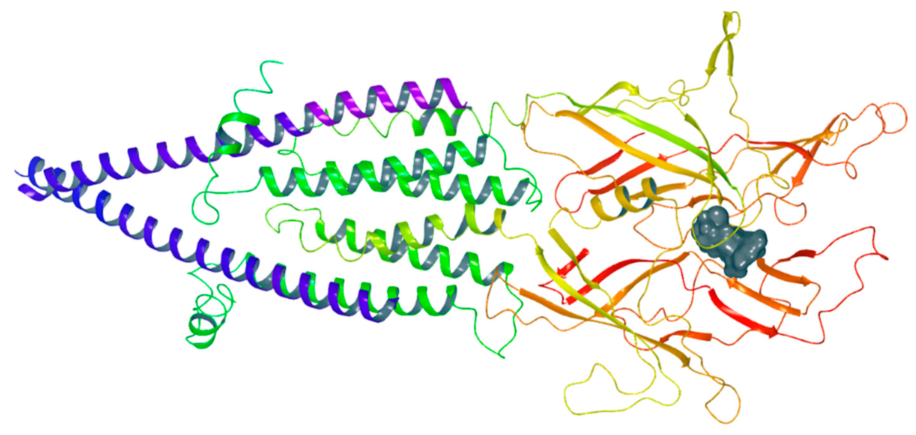 Chemproc 03 00008 g004 Chemproc 03 00008 g004